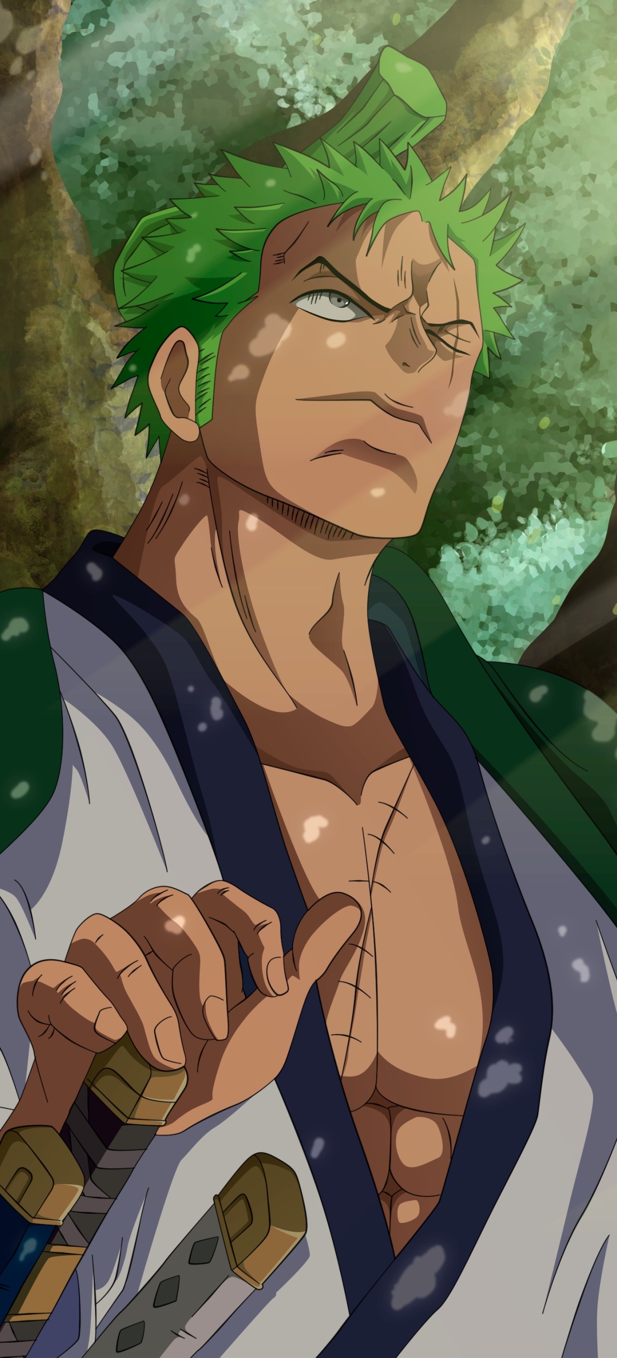 Download mobile wallpaper Anime, One Piece, Roronoa Zoro for free.