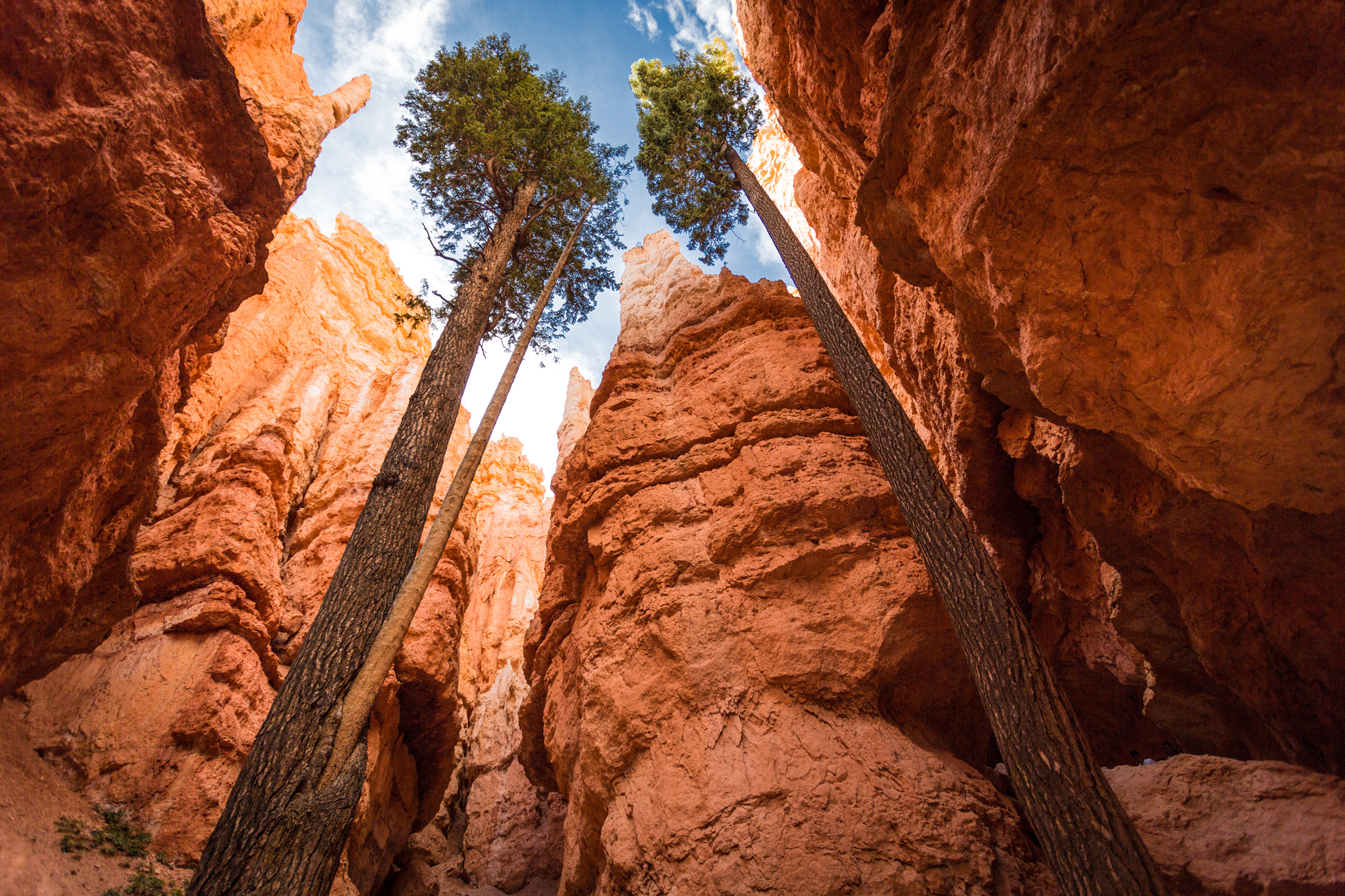 bryce canyon national park, earth, national park