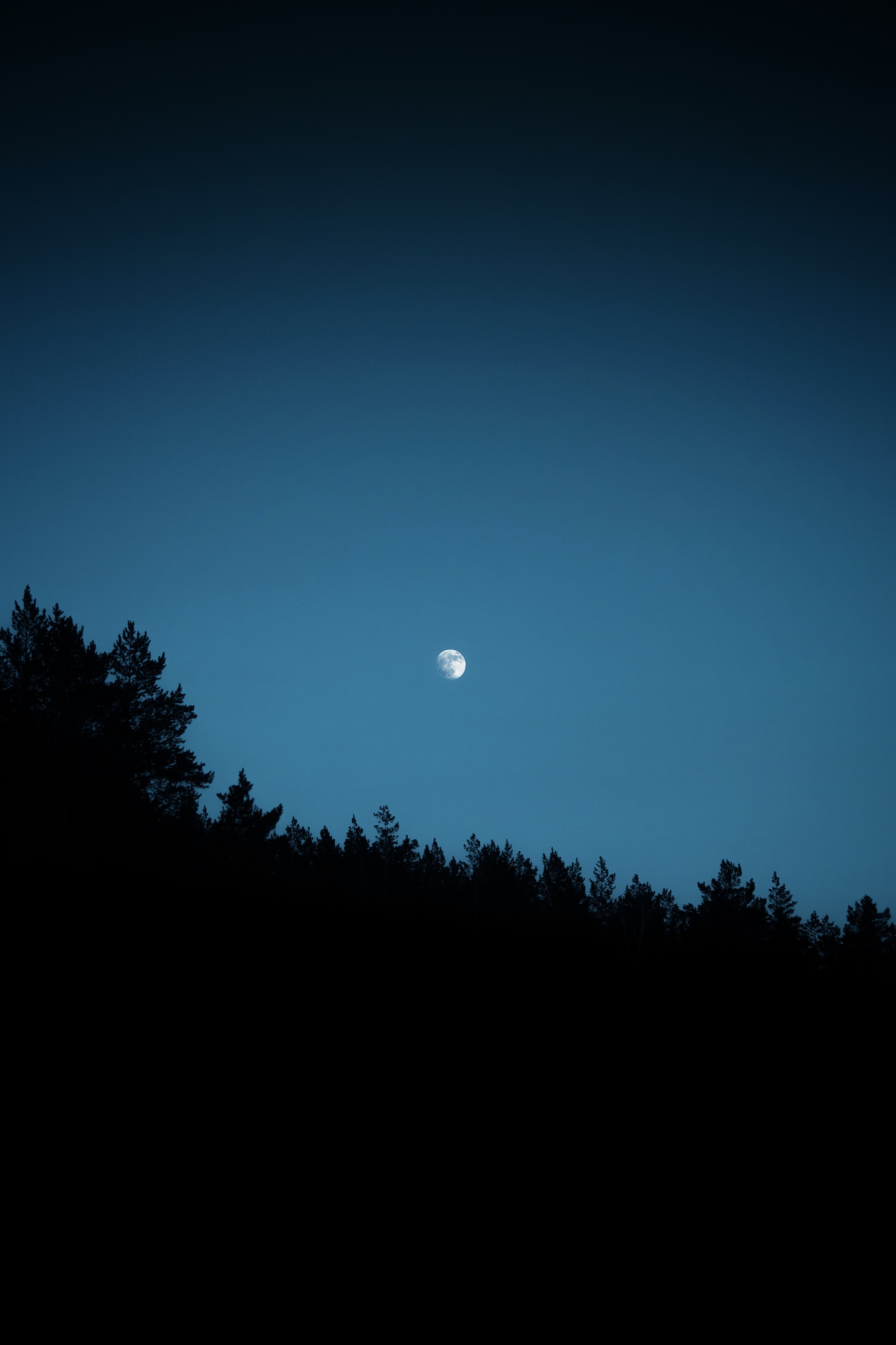 Free download wallpaper Trees, Outlines, Night, Dark, Silhouettes, Moon on your PC desktop