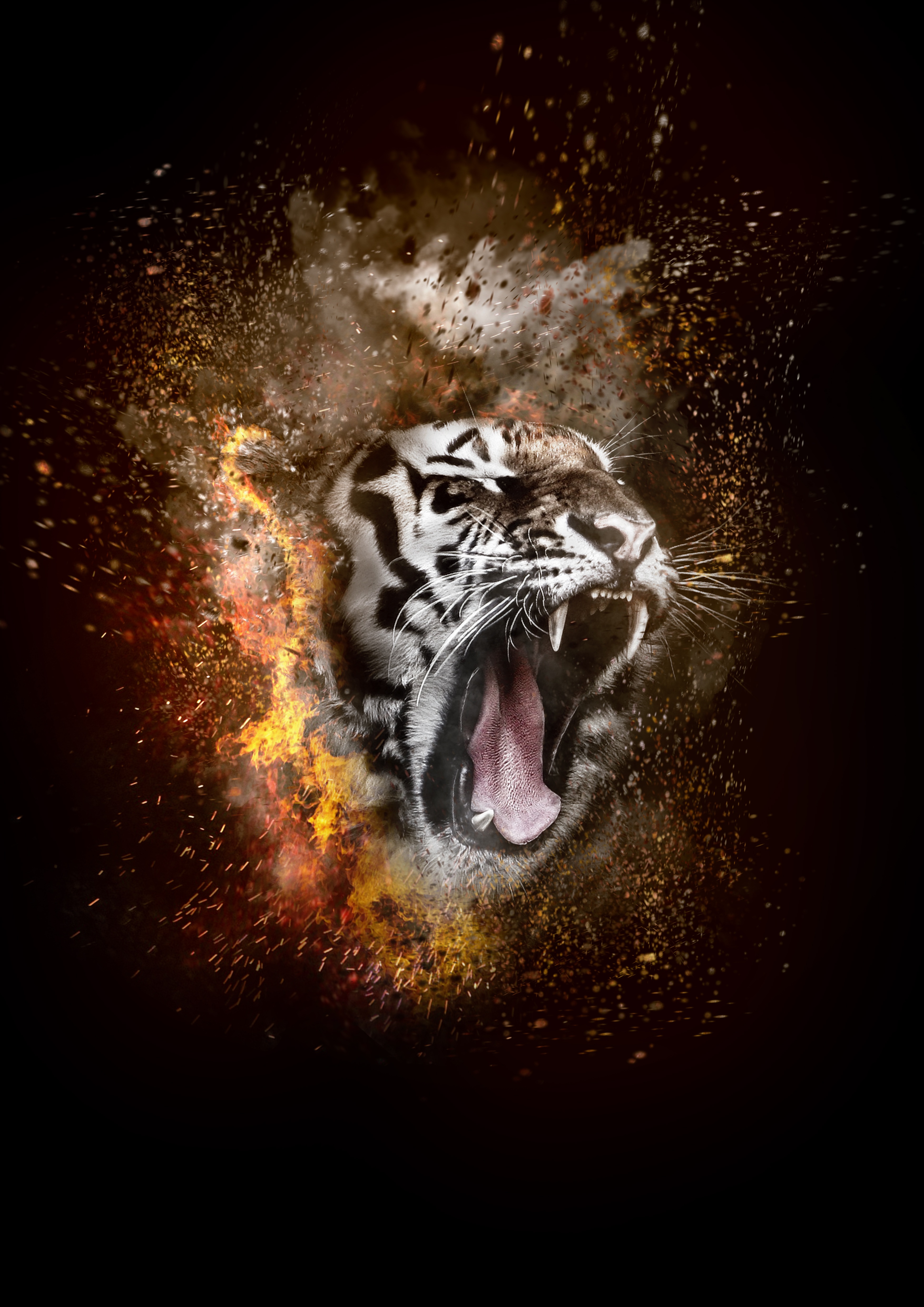 fire, tiger, grin, animals, photoshop HD wallpaper
