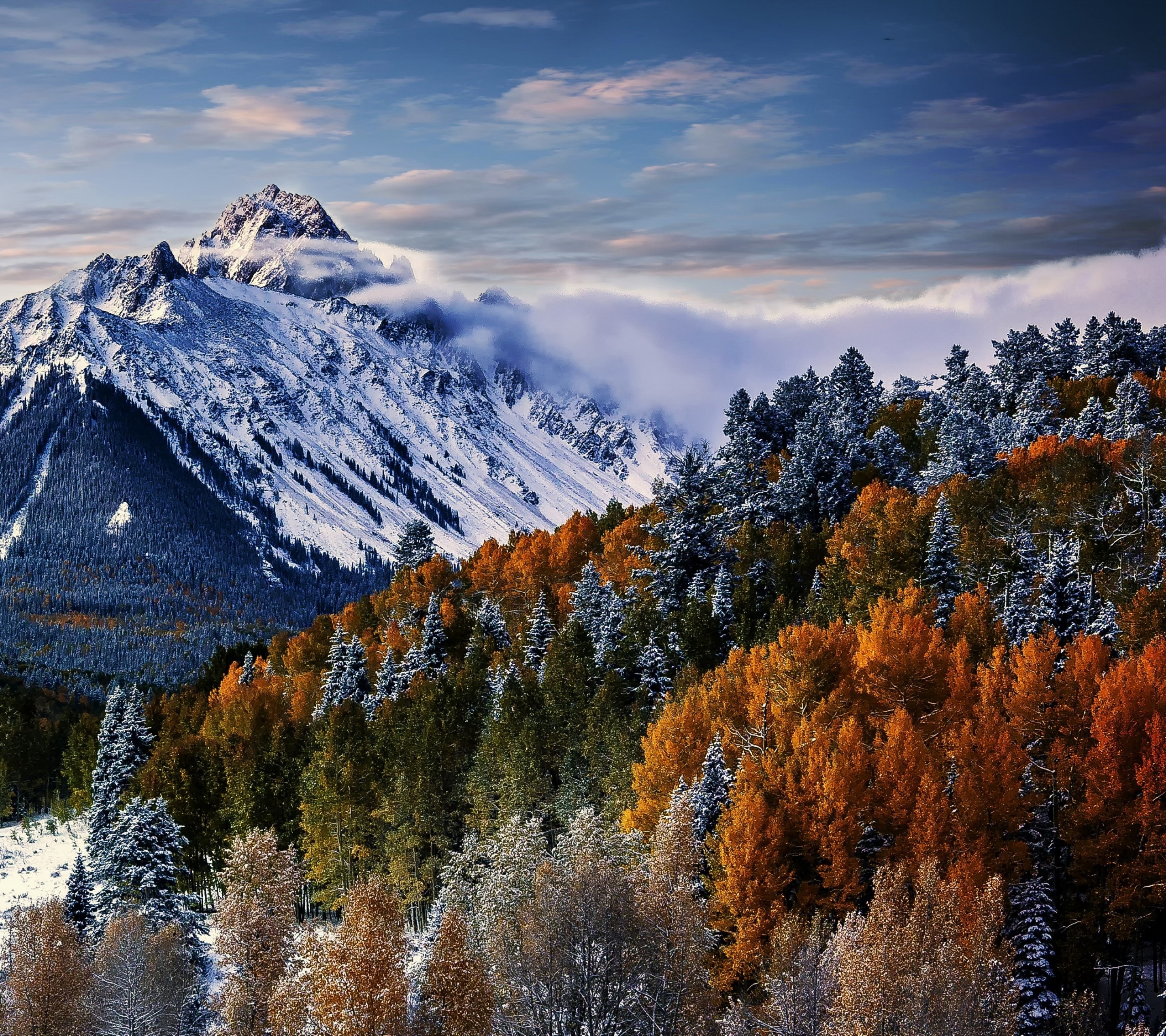 Скачать картинку Горы, Осень, Облака, Снег, Утро, Облако, Падать, Колорадо, Земля/природа, Гора Снеффлс в телефон бесплатно.