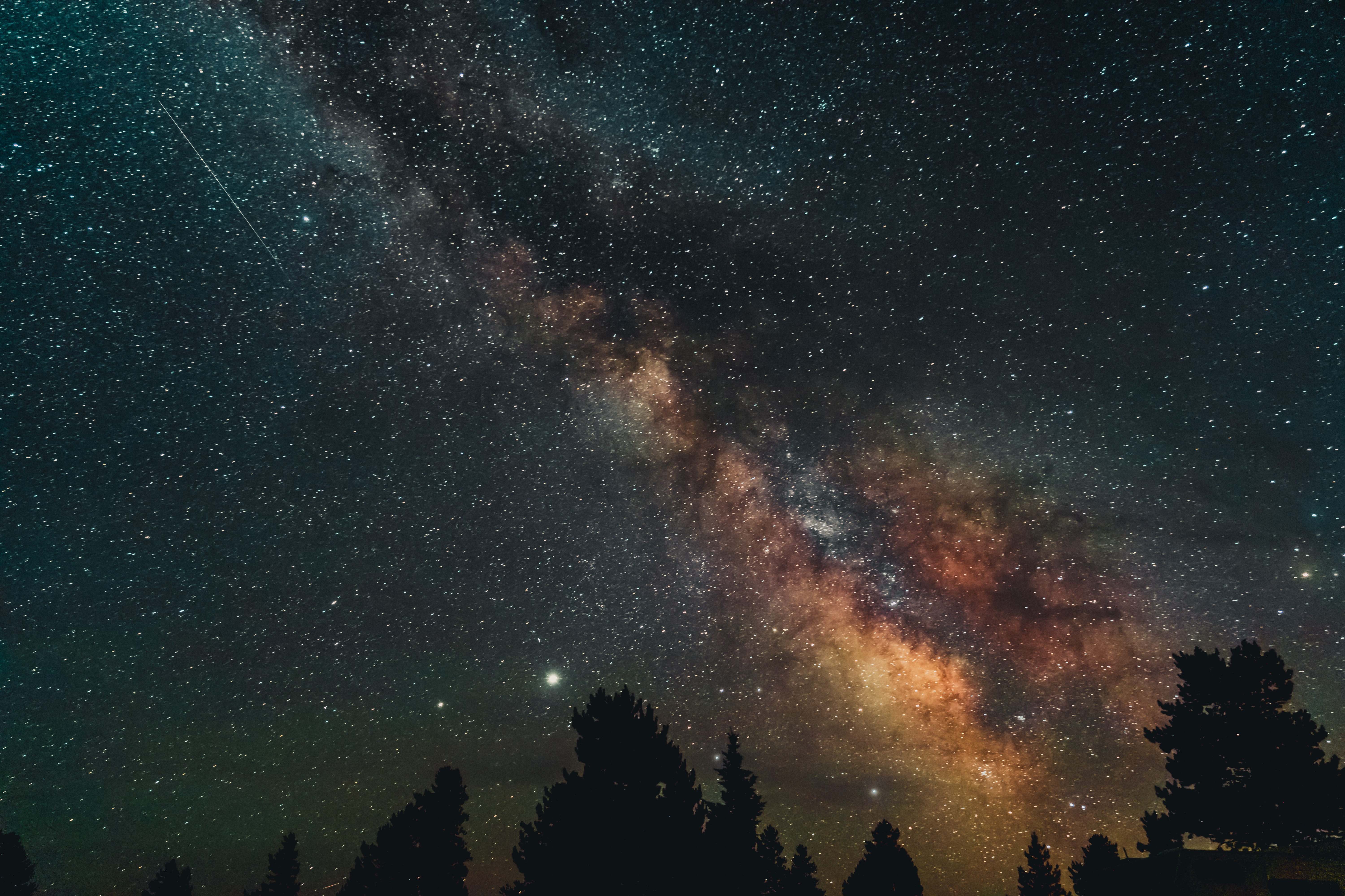 Descarga gratis la imagen Naturaleza, Árboles, Estrellas, Noche, Cielo Estrellado, Nebulosa en el escritorio de tu PC