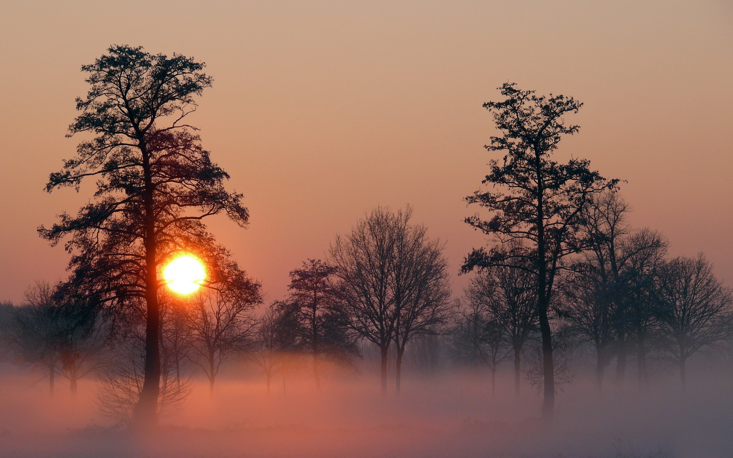 Download mobile wallpaper Fog, Earth, Sunset for free.
