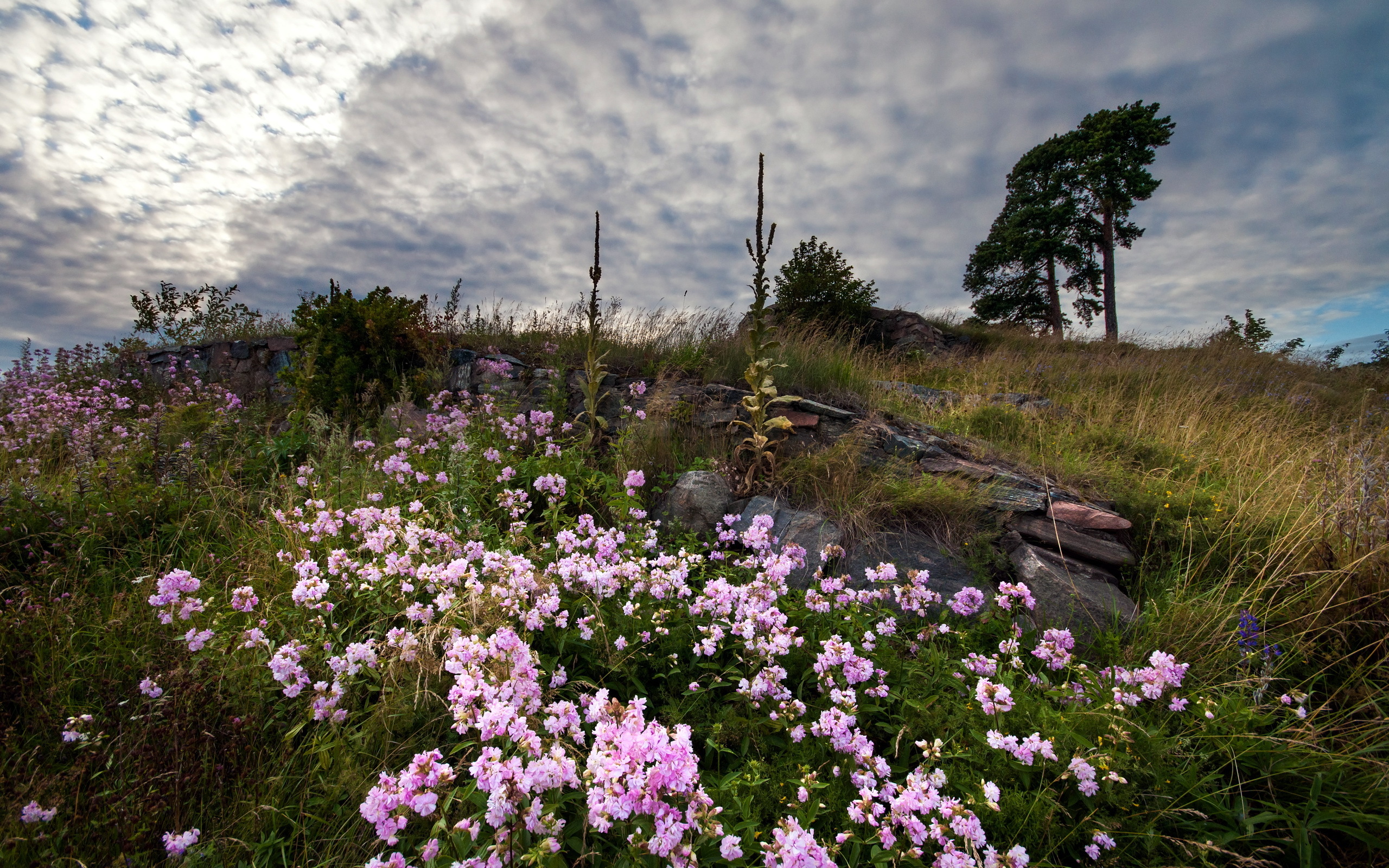 Handy-Wallpaper Landschaft, Erde/natur kostenlos herunterladen.