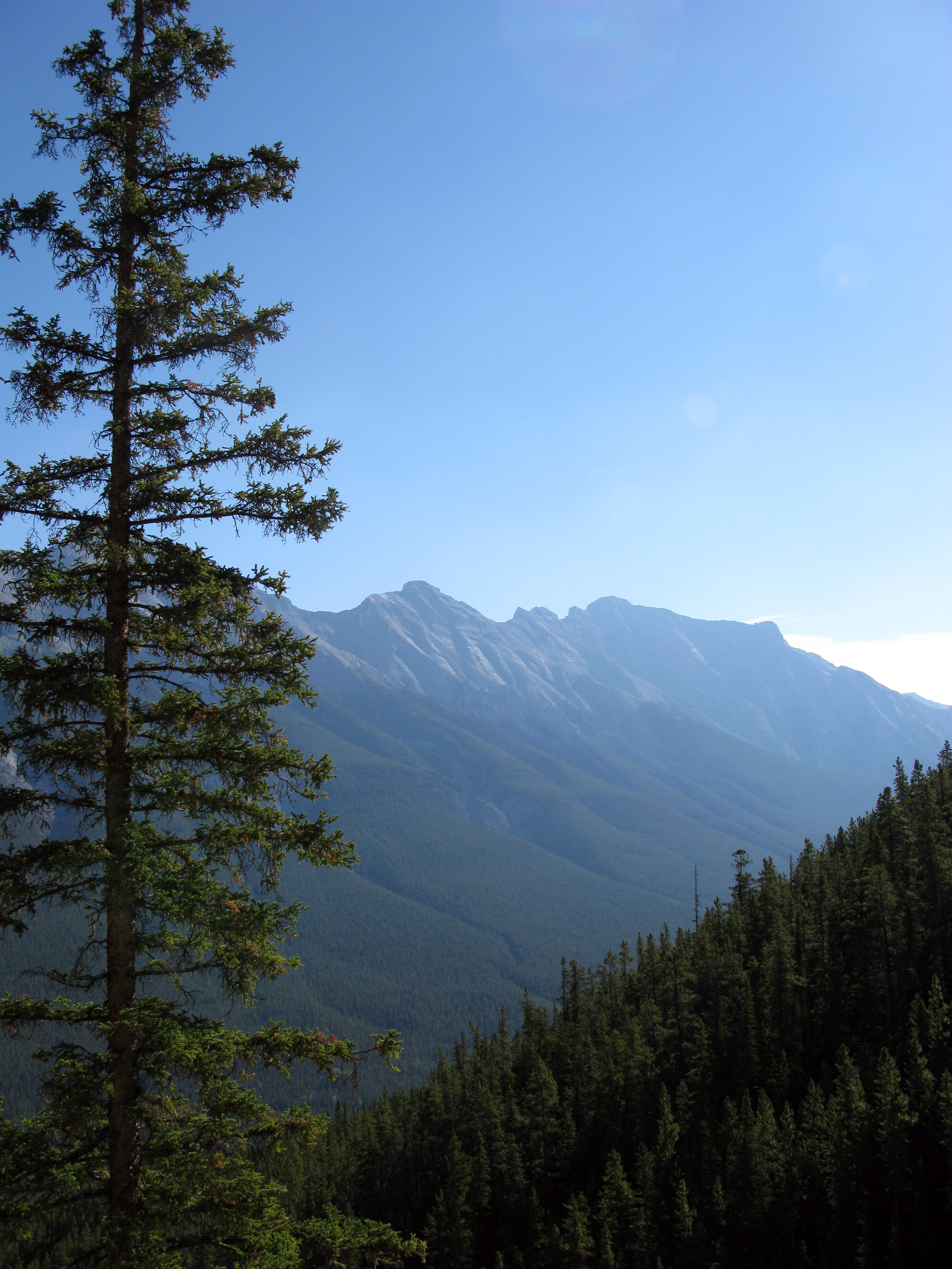 mountains, nature, trees, sky, spruce, fir, slope 32K