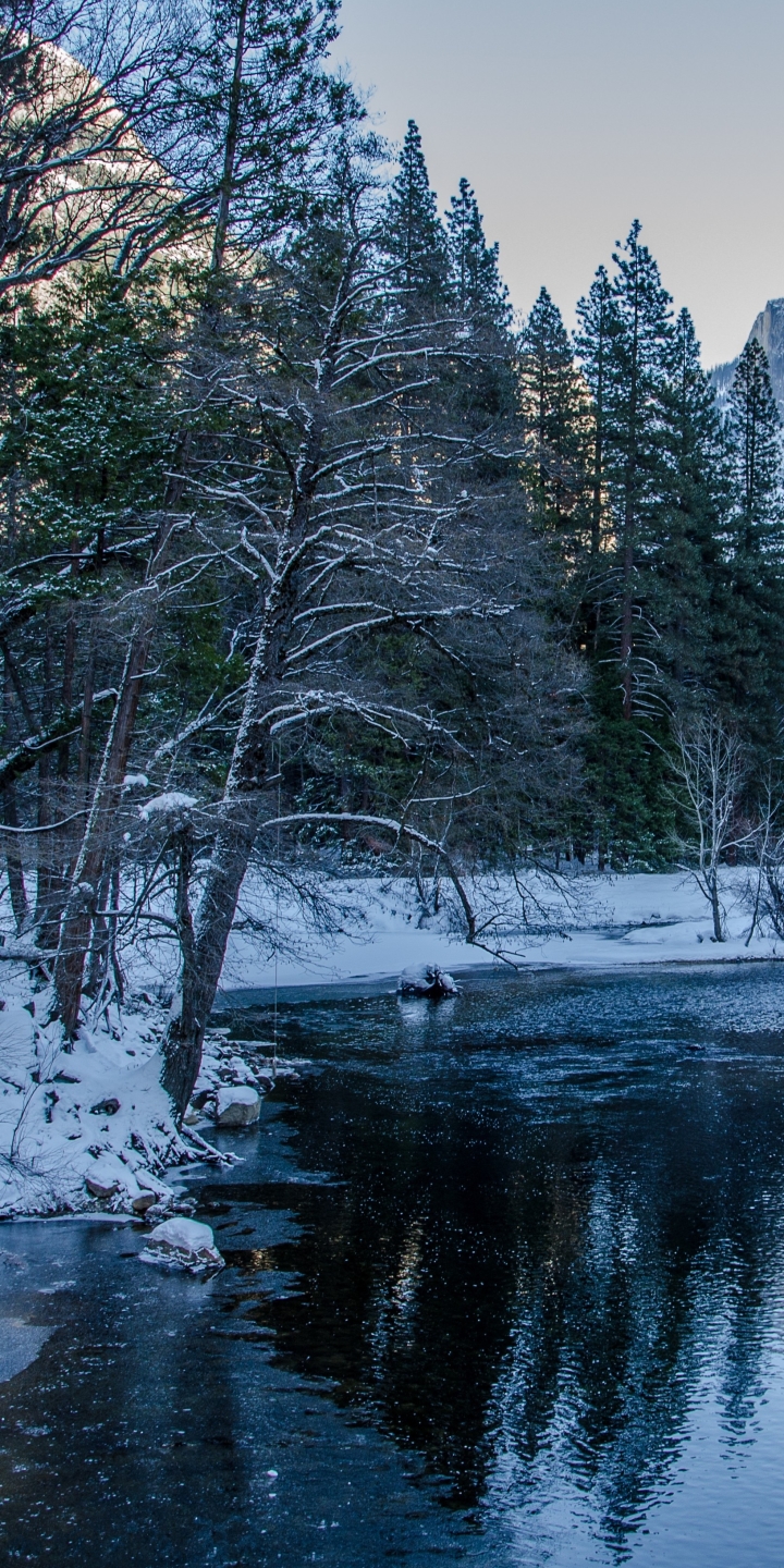 Скачати мобільні шпалери Зима, Річка, Сніг, Ліс, Земля безкоштовно.
