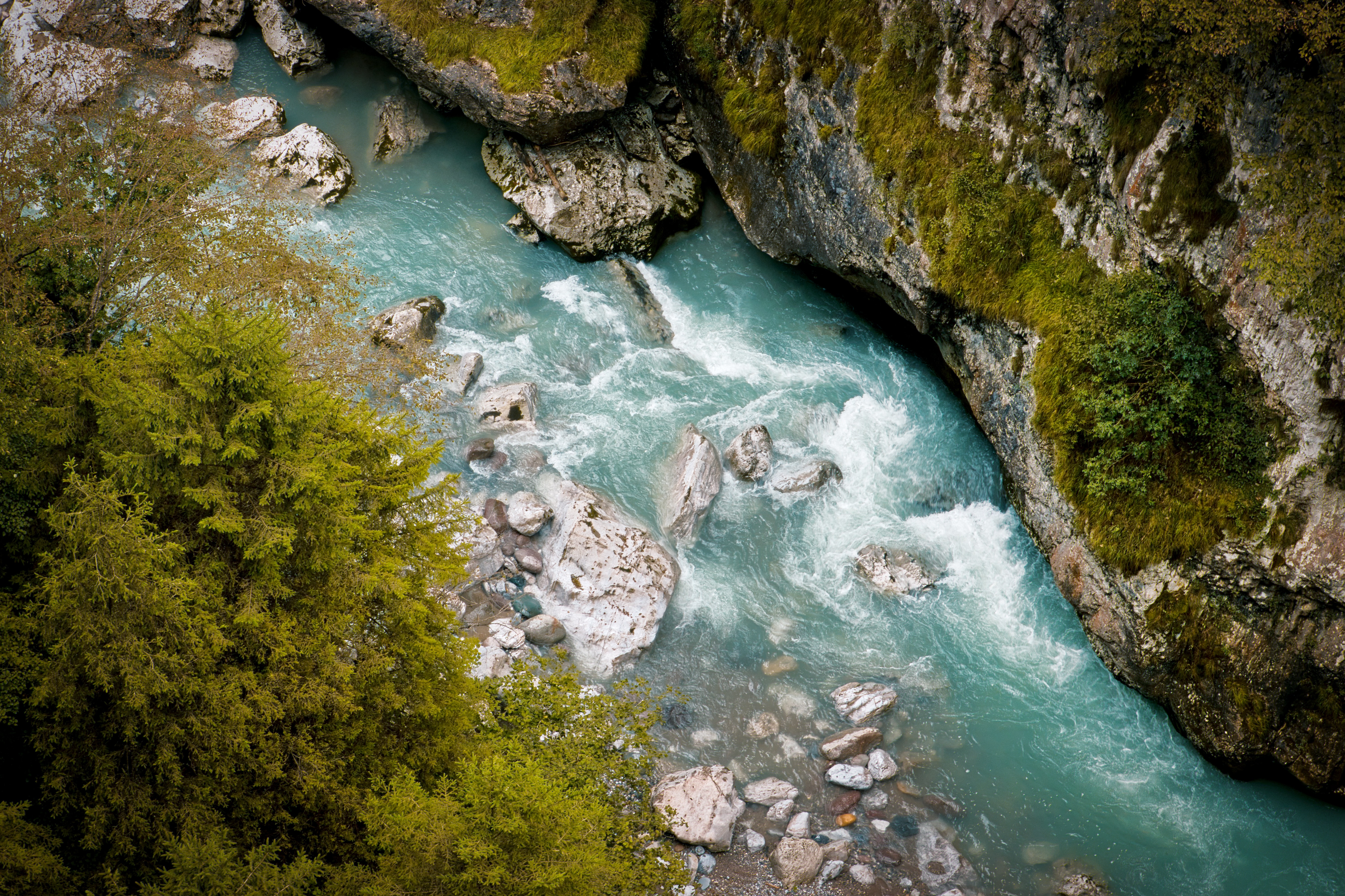 view from above, nature, rivers, trees, rocks HD wallpaper