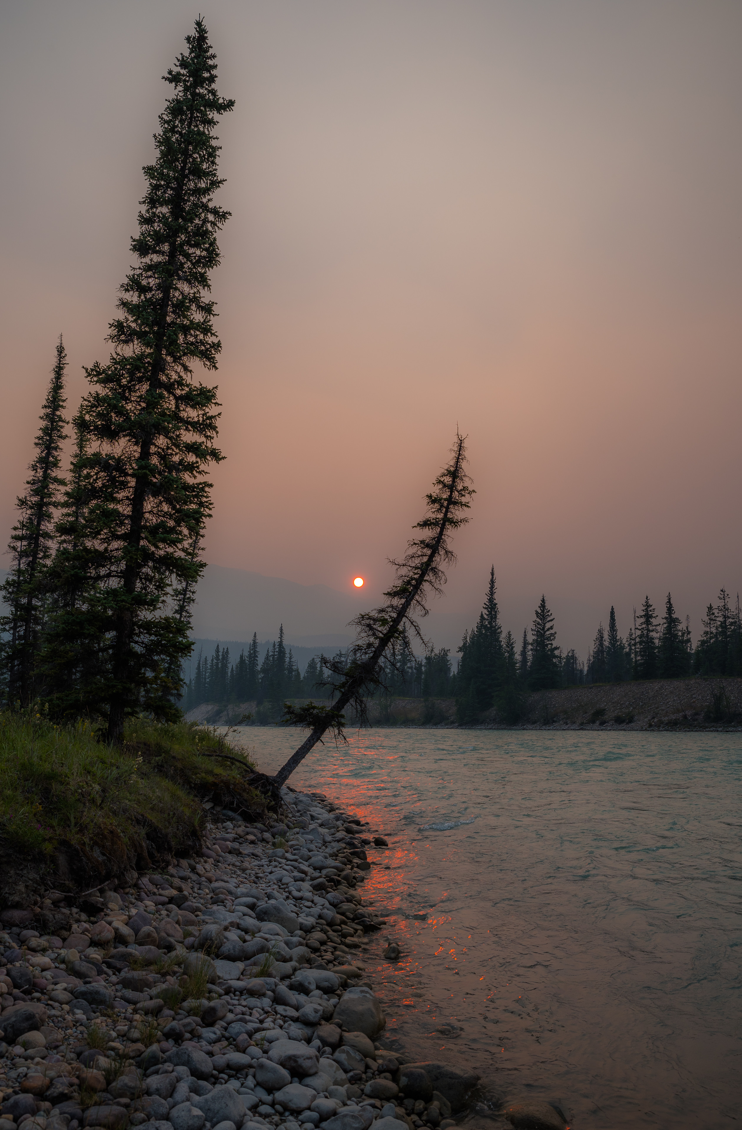 rivers, nature, sunset, sun, spruce, fir High Definition image