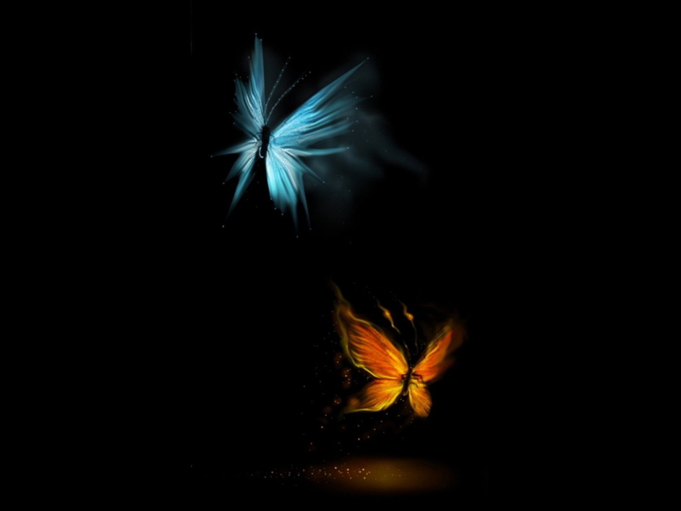 butterflies, pictures, insects, black Full HD
