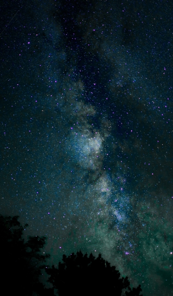 Скачать картинку Ночь, Звездное Небо, Земля/природа в телефон бесплатно.