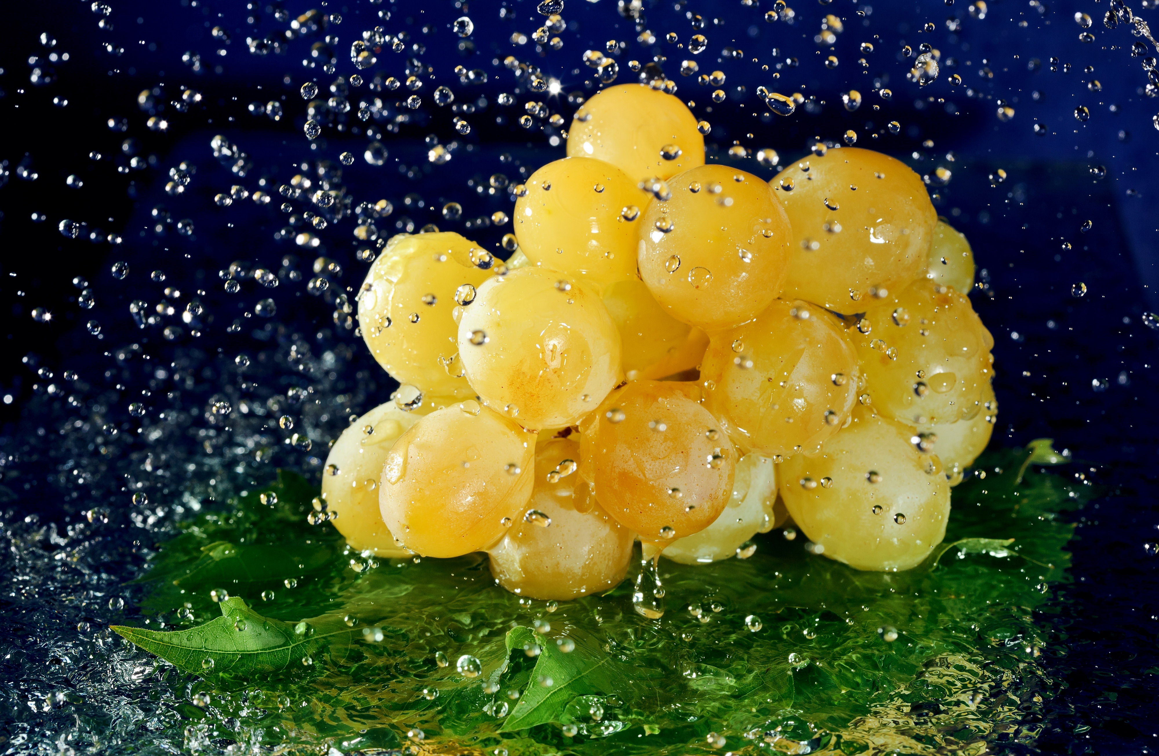  Grapes HD Android Wallpapers