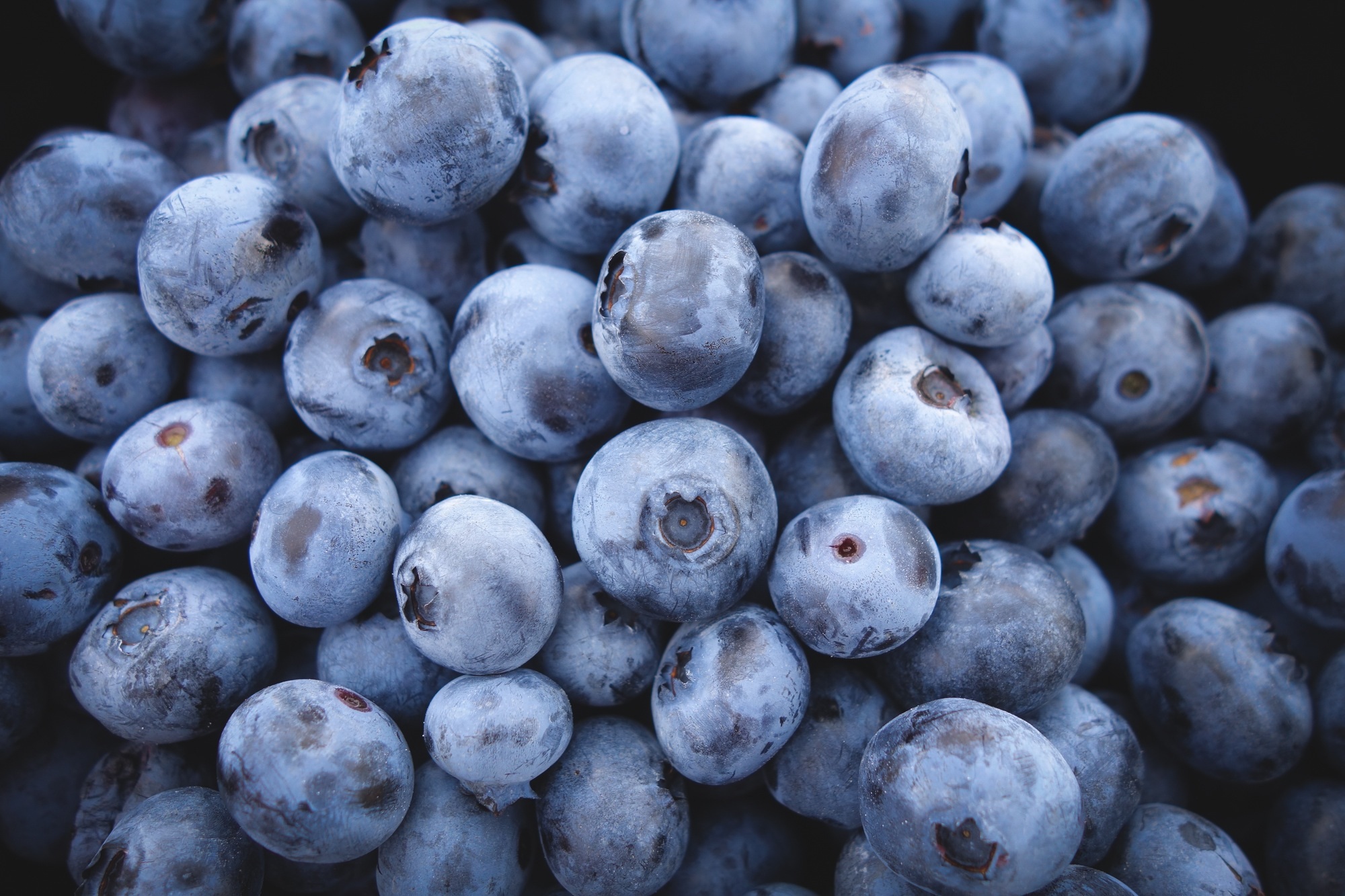 food, ripe, berry, bilberries wallpapers for tablet