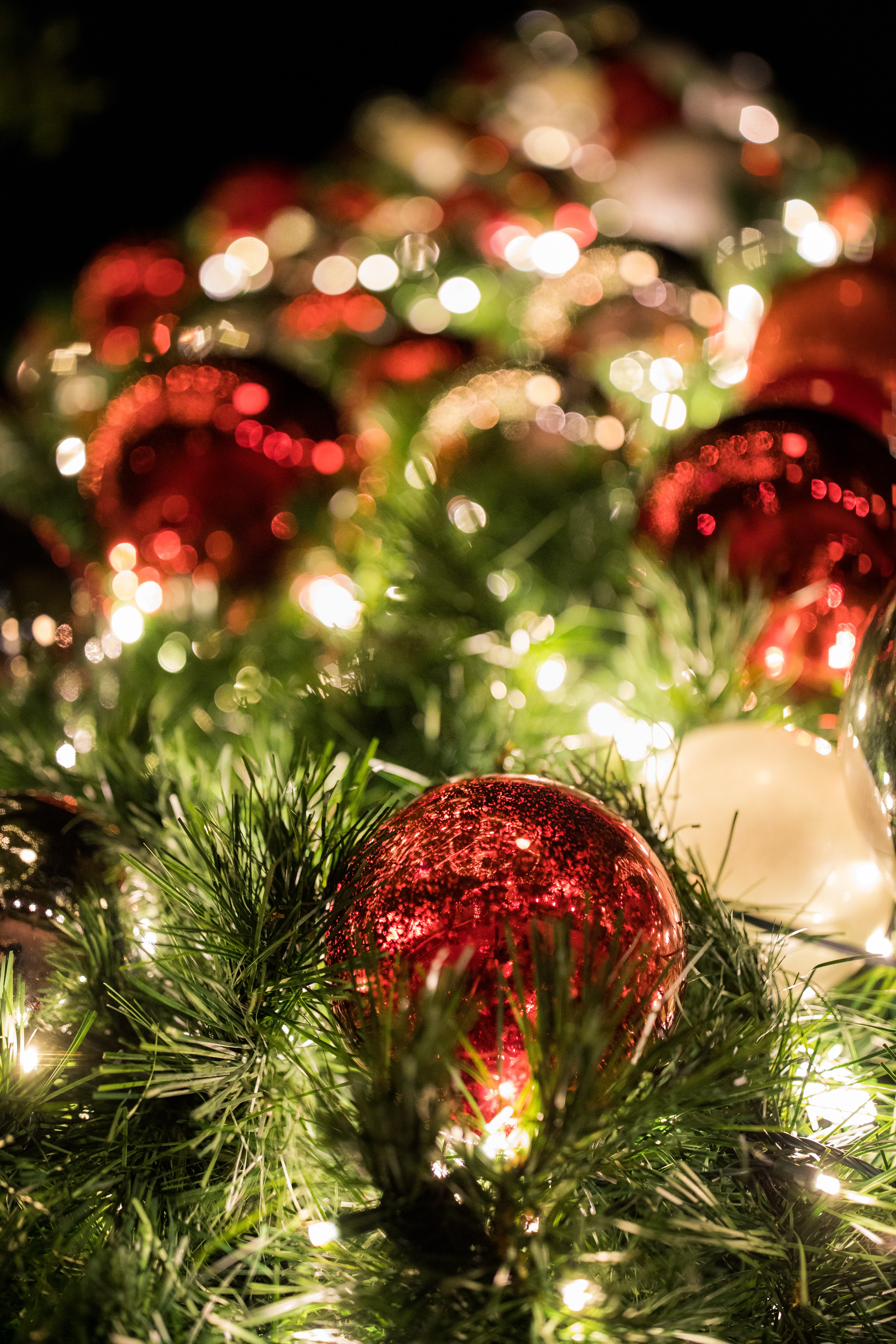 Téléchargez des papiers peints mobile Arbre De Noël, Fêtes, Guirlande, Des Balles, Guirlandes, Décorations, Balles, Nouvel An, Sapin De Noël gratuitement.