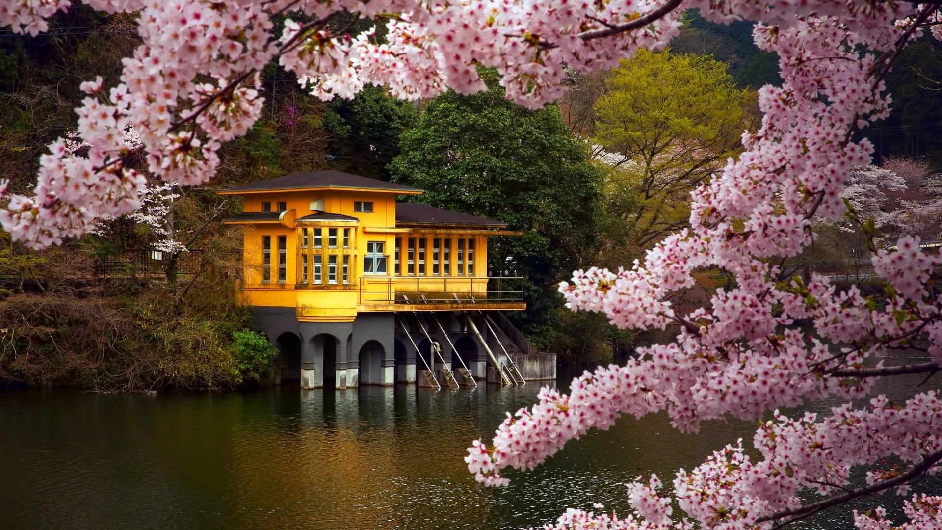 Скачать картинку Река, Дом, Япония, Весна, Цветущие, Сделано Человеком, Розовый Цветок, Вишня В Цвету в телефон бесплатно.