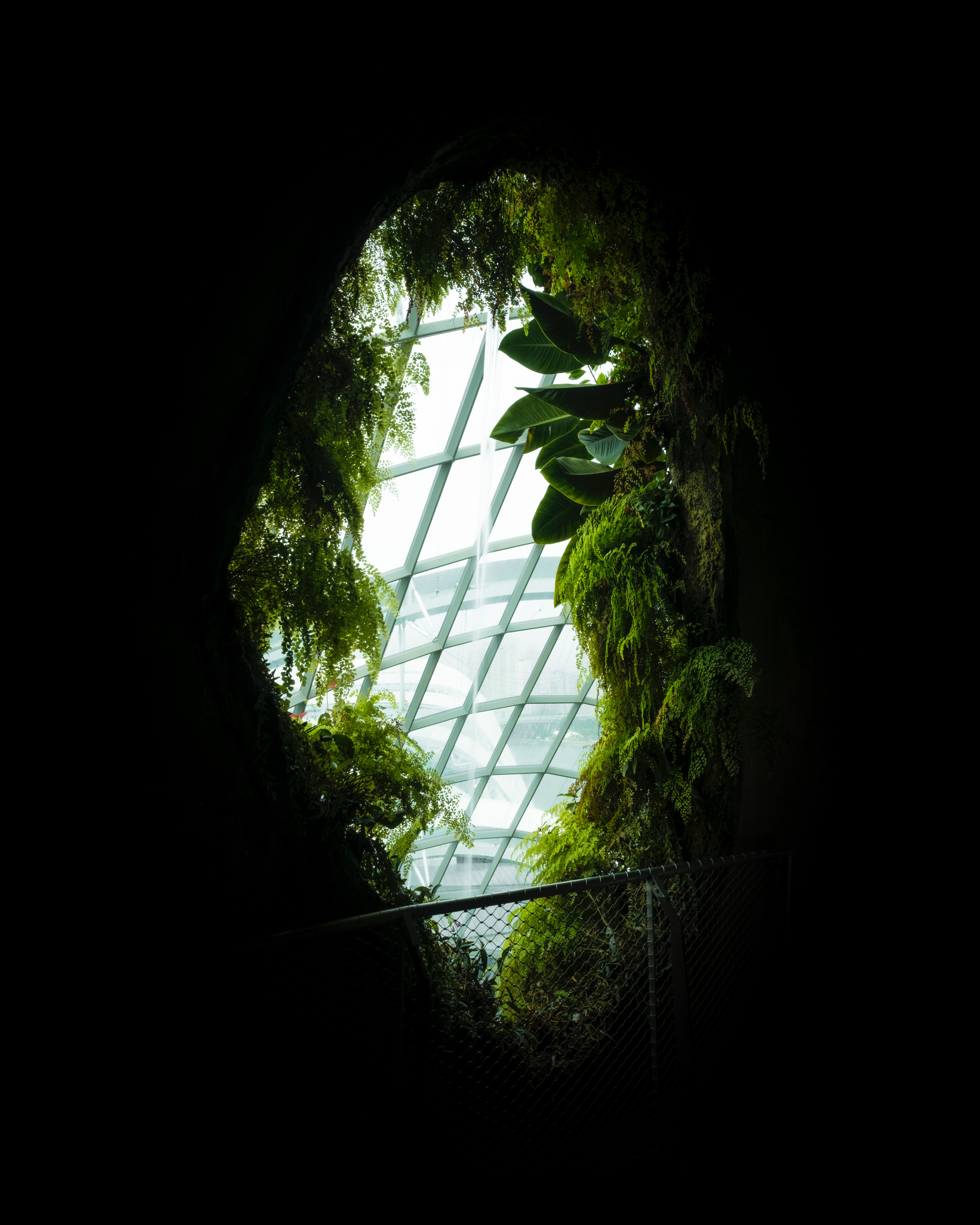 Download mobile wallpaper Window, Leaves, Plants, Dark for free.