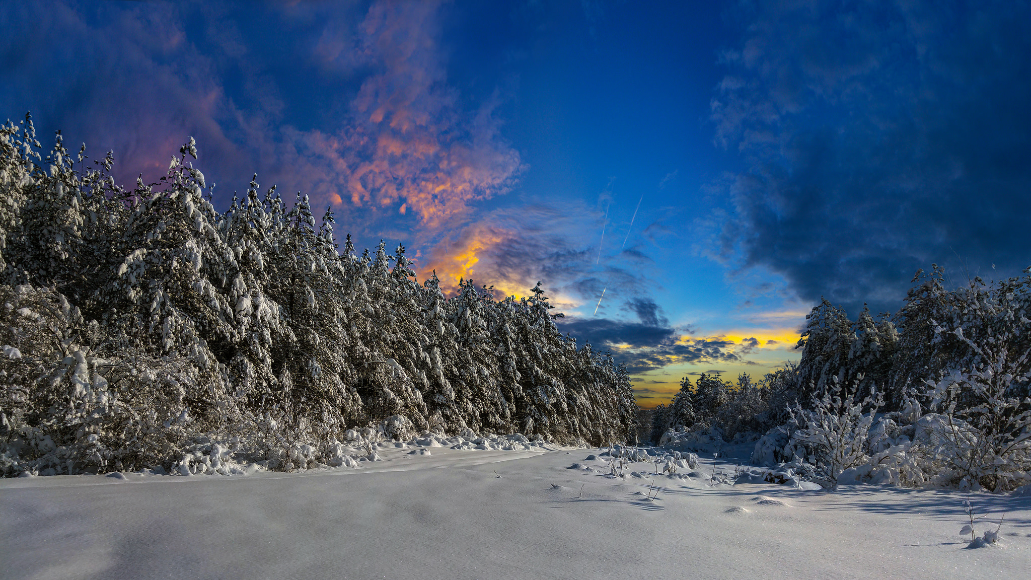 Descarga gratis la imagen Invierno, Cielo, Nieve, Bosque, Árbol, Atardecer, Tierra/naturaleza en el escritorio de tu PC