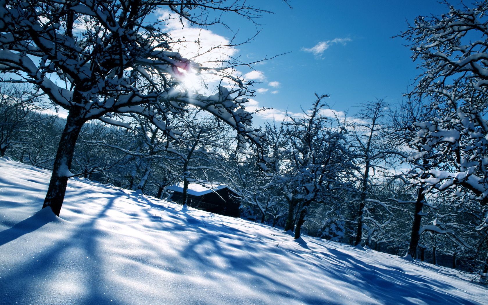 winter, nature, snow, white, shine, brilliance, house, garden, drifts, cover, veils