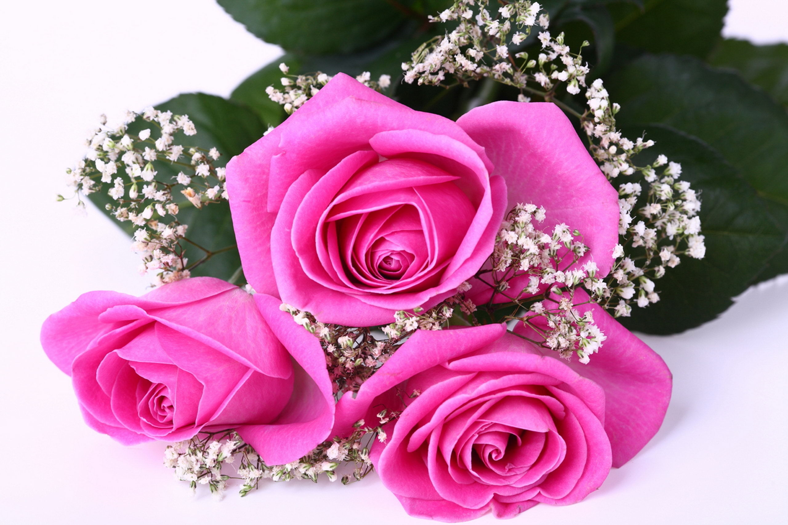 Téléchargez des papiers peints mobile Fleurs, Tendresse, Bouquet, Roses gratuitement.
