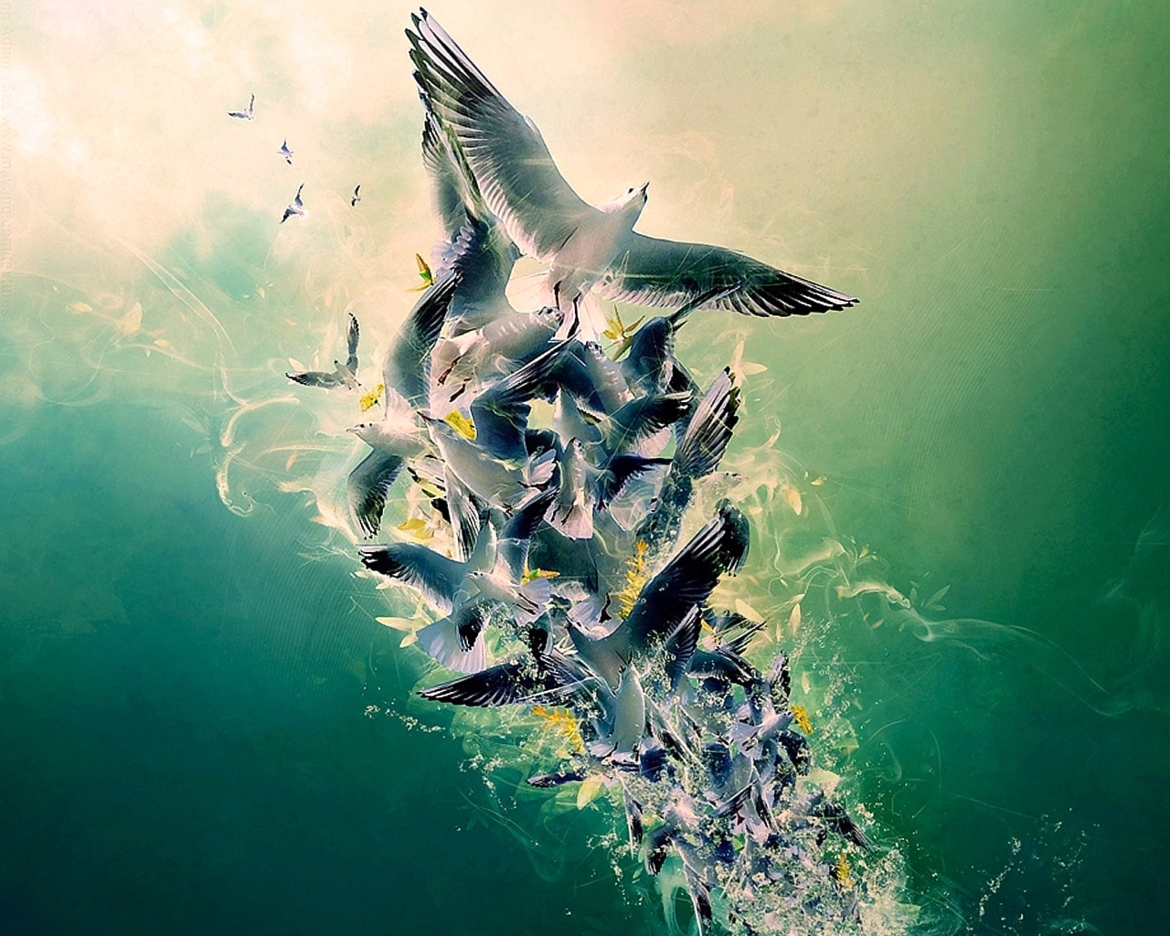 seagulls, animals, birds HD wallpaper