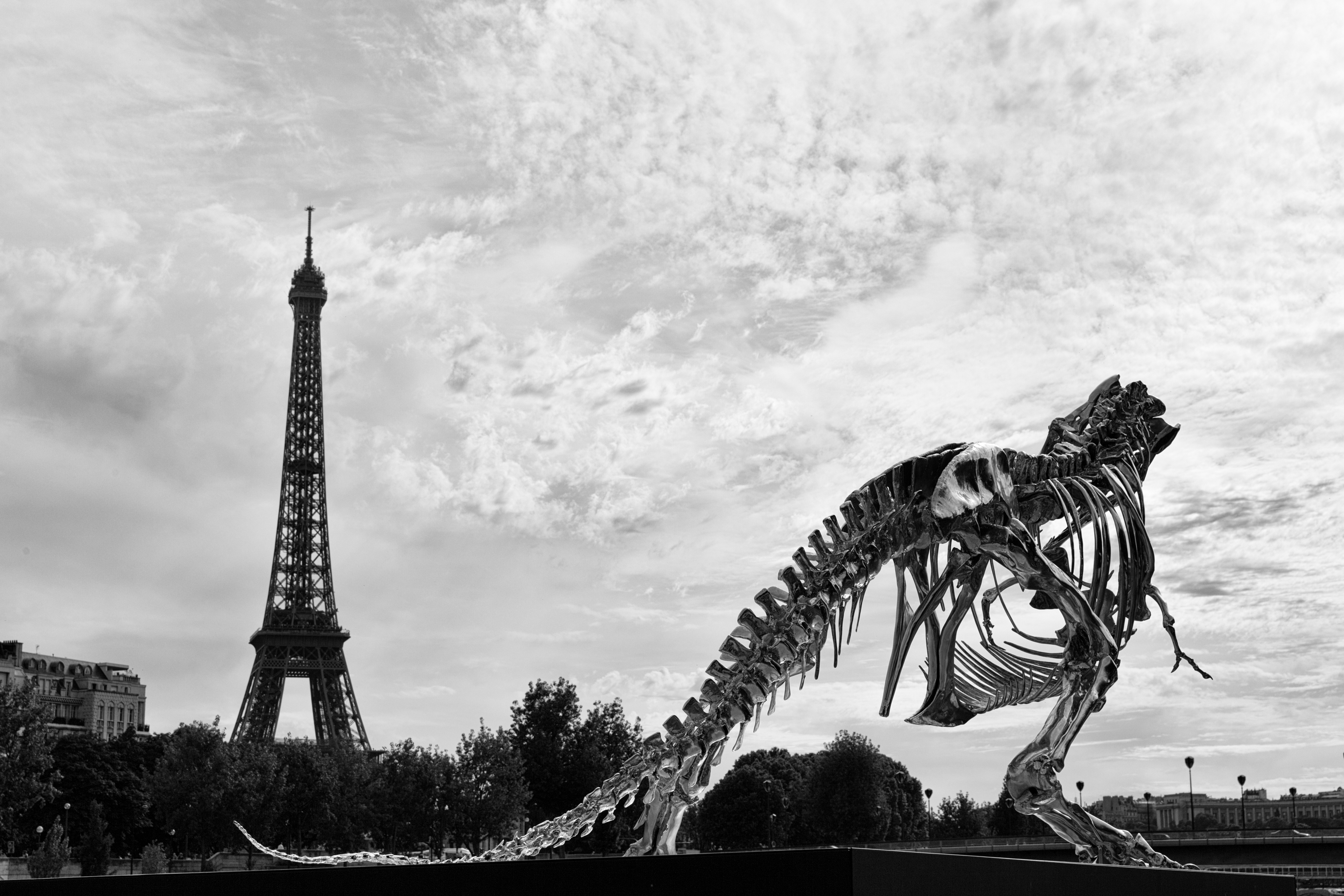 vintage, man made, eiffel tower, black & white, monochrome, paris, skeleton, tyrannosaurus rex, monuments