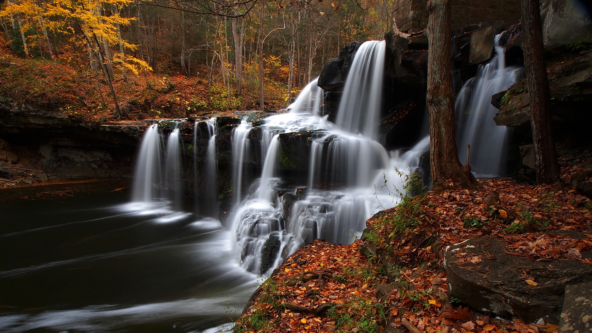 Laden Sie das Wasserfall, Wasserfälle, Herbst, Wald, Erde/natur-Bild kostenlos auf Ihren PC-Desktop herunter