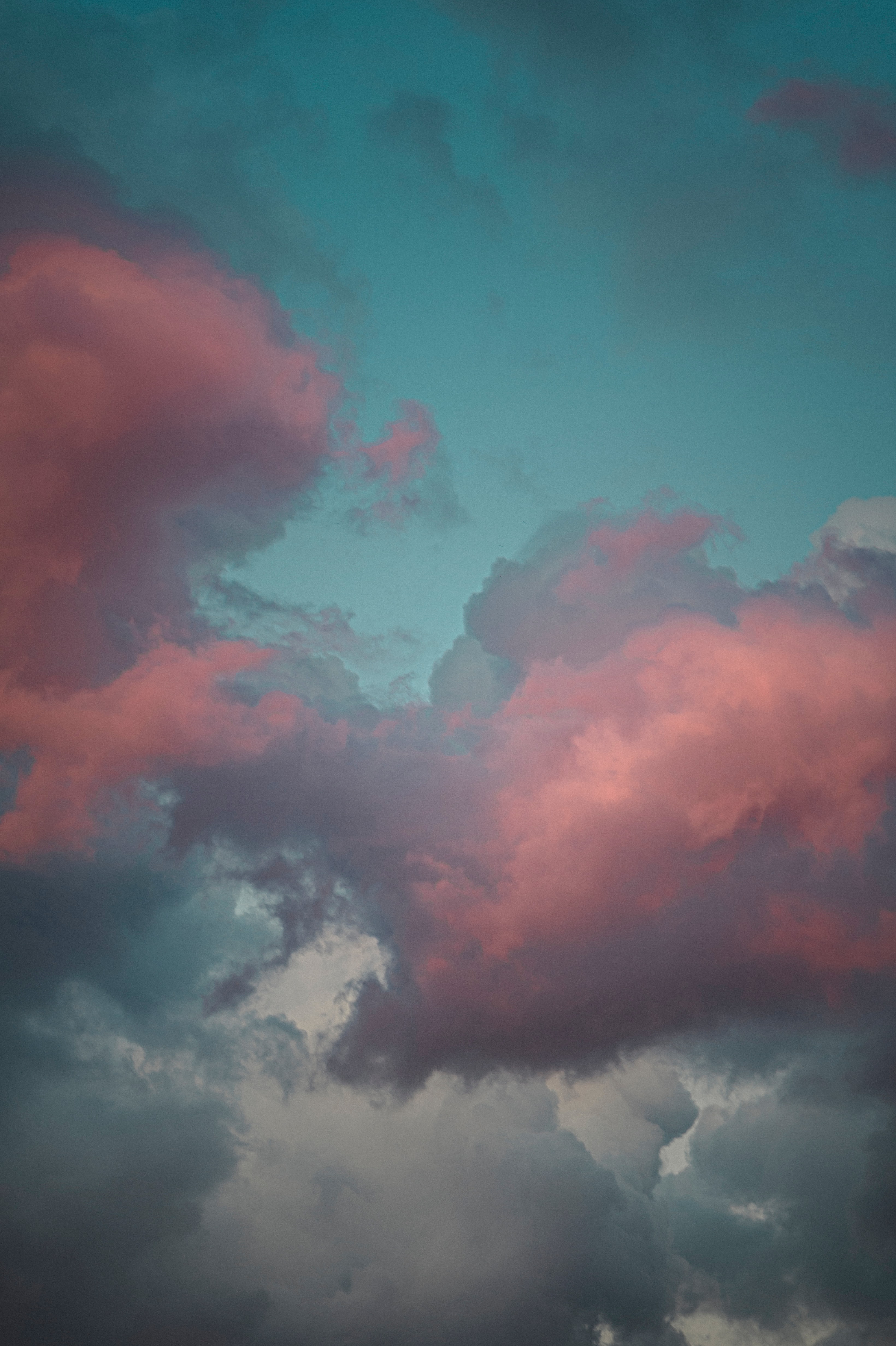 Baixe gratuitamente a imagem Natureza, Céu, Nuvens, Rosa, Nuvem, Cor De Rosa na área de trabalho do seu PC