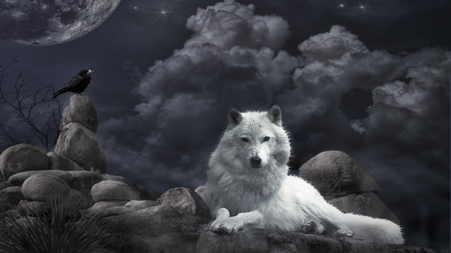 180842 descargar fondo de pantalla animales, lobo, cuervo, wolves: protectores de pantalla e imágenes gratis