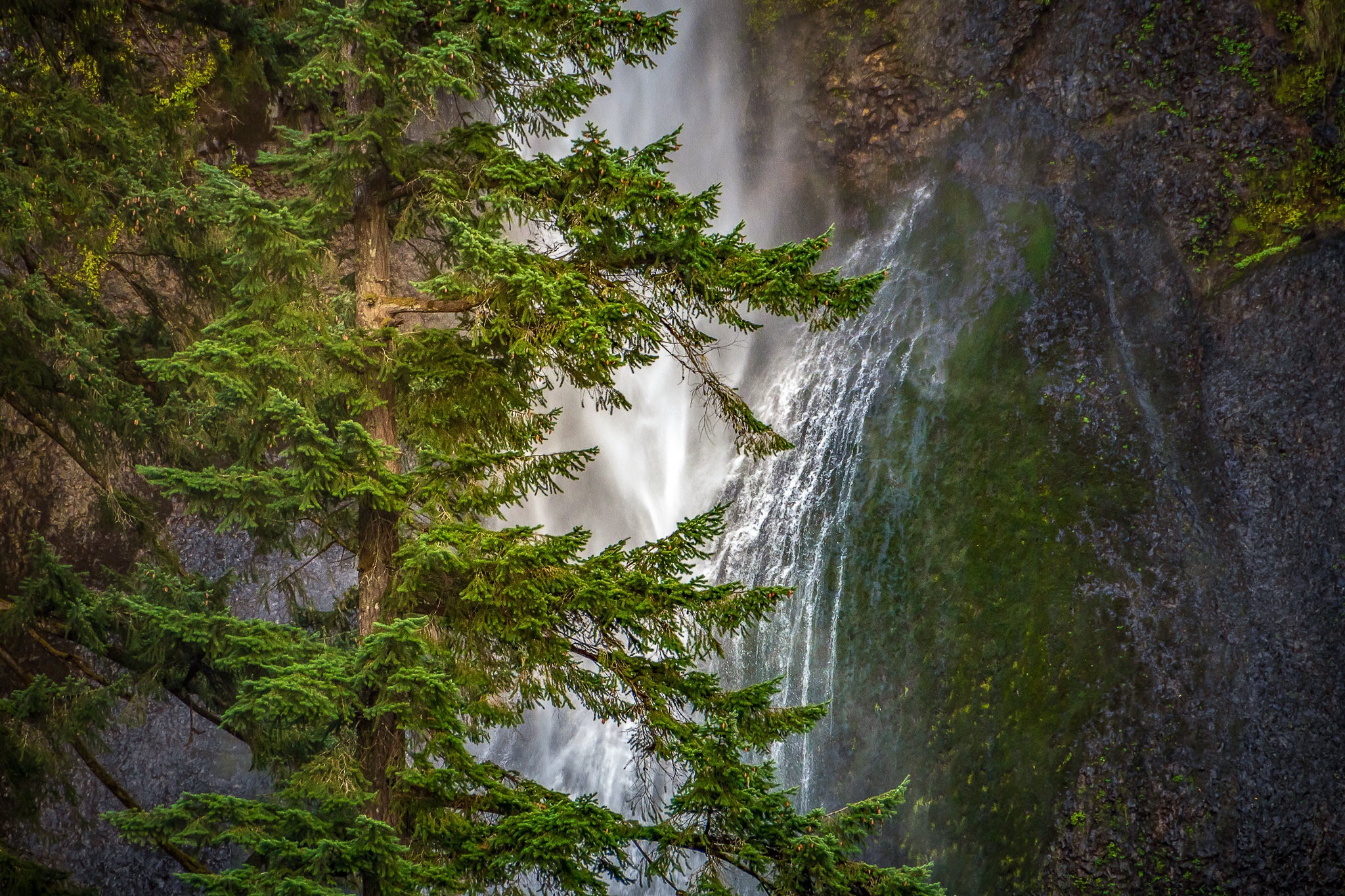 Download mobile wallpaper Waterfall, Tree, Earth for free.