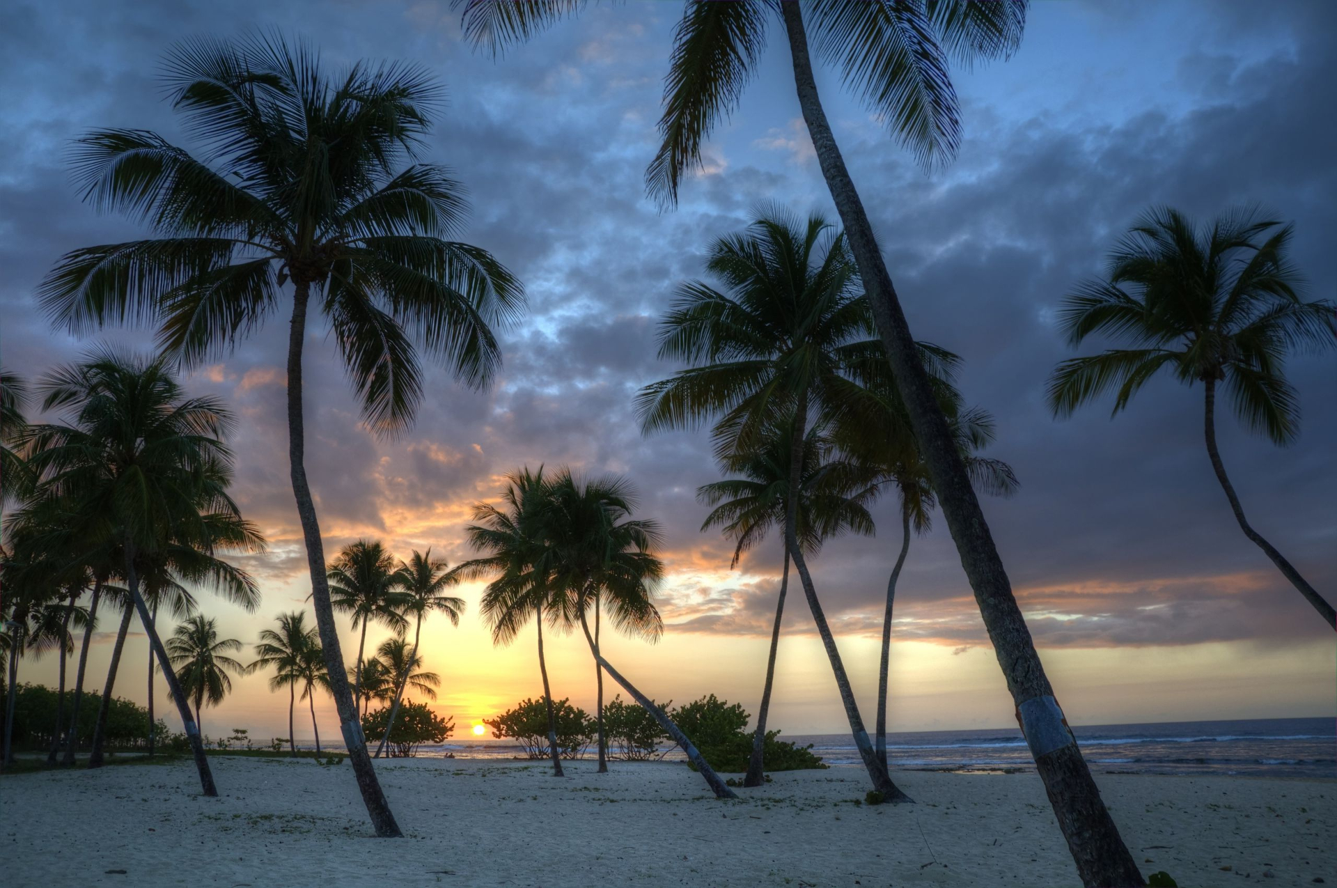 Free download wallpaper Sunset, Sky, Sea, Beach, Horizon, Tree, Ocean, Earth, Cloud, Palm Tree on your PC desktop