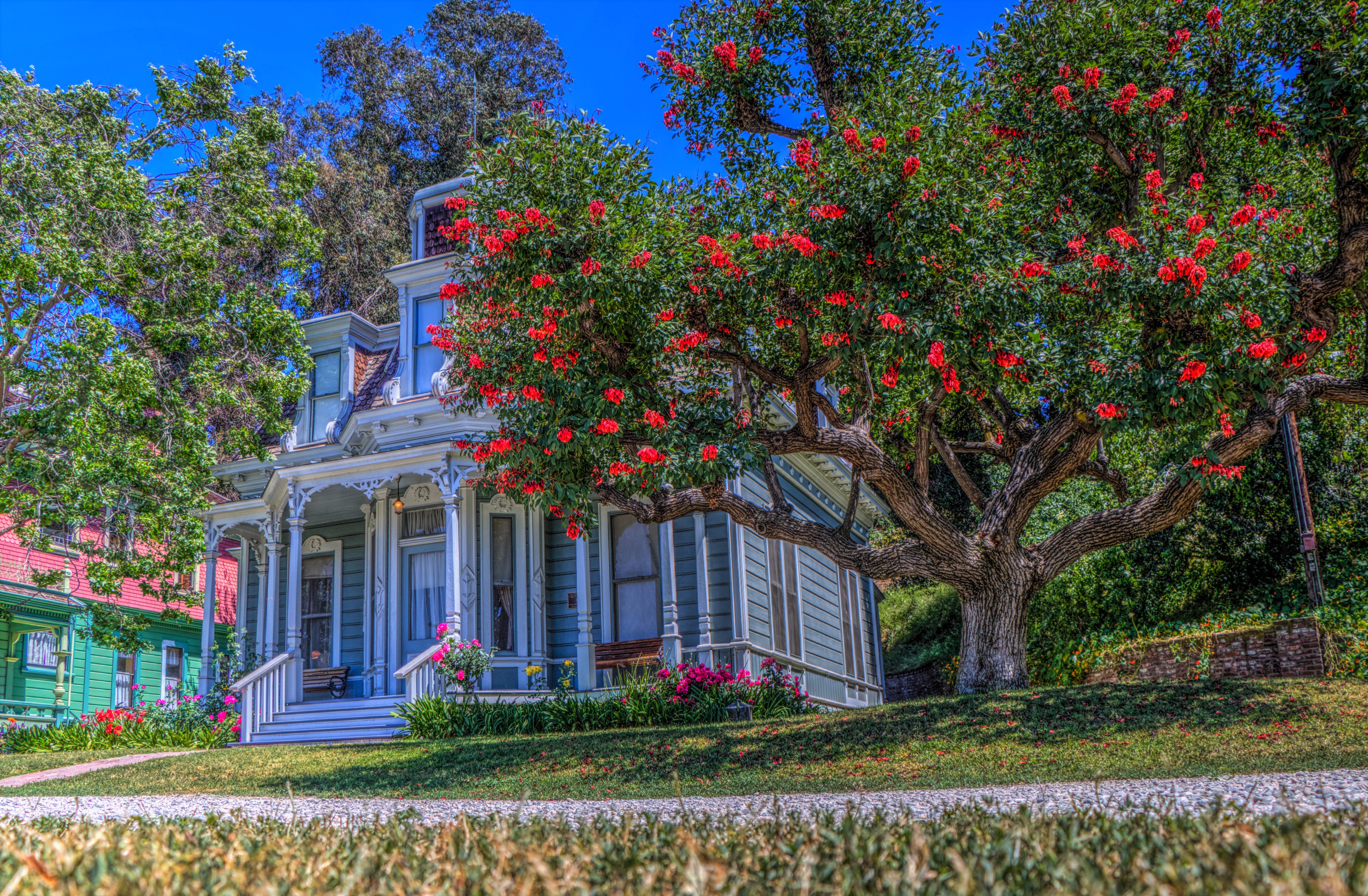 Скачать картинку Цветок, Дерево, Дом, Hdr, Калифорния, Фотографии в телефон бесплатно.