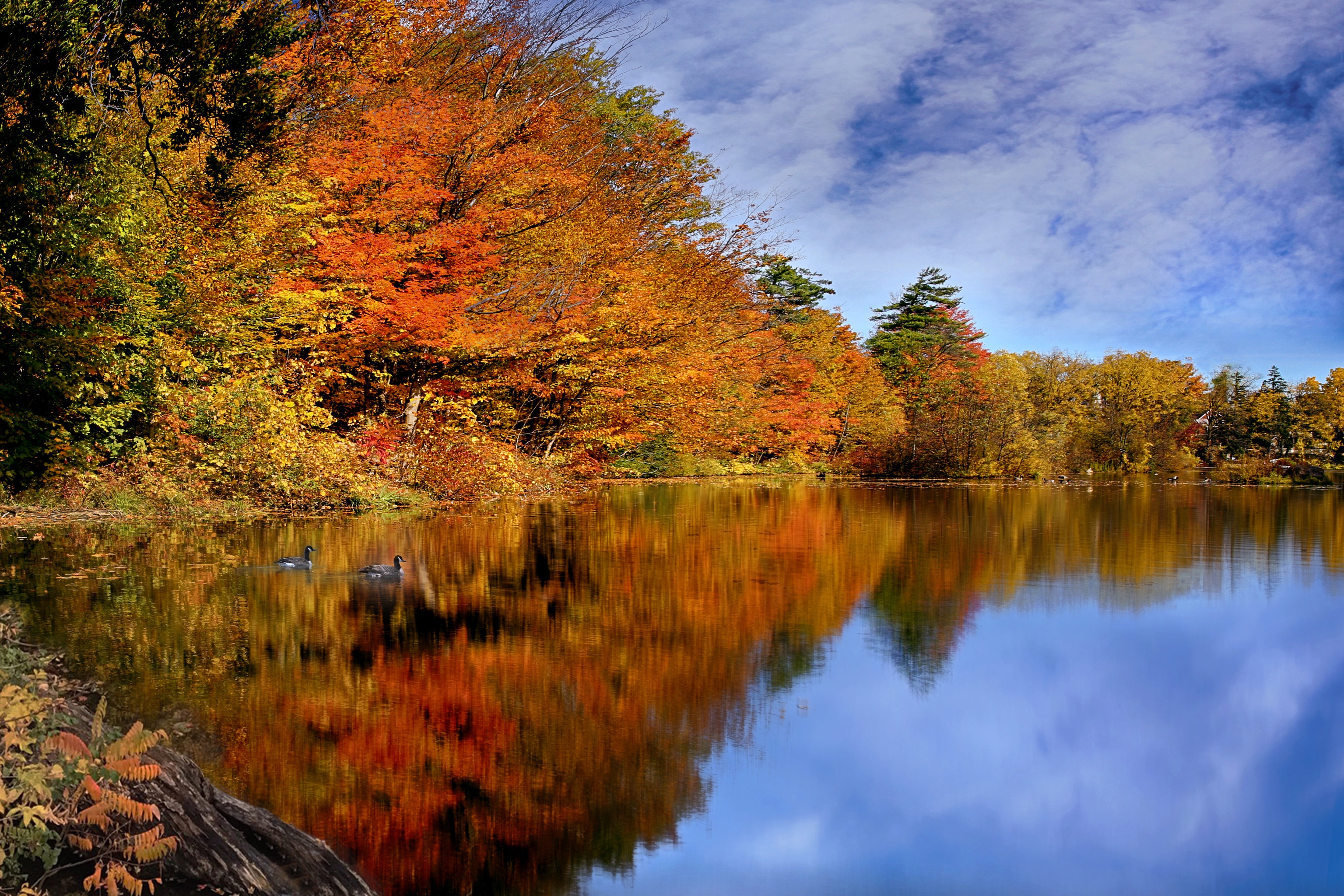 Descarga gratuita de fondo de pantalla para móvil de Cielo, Otoño, Rio, Canadá, Tierra/naturaleza, Reflejo.