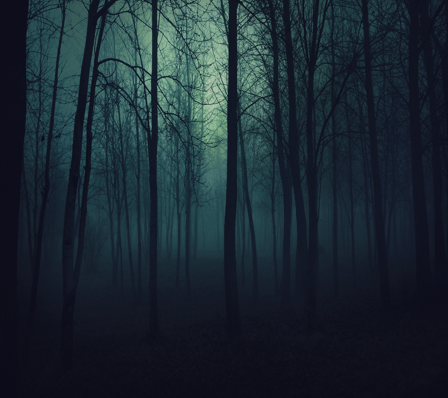 Download mobile wallpaper Dark, Forest for free.