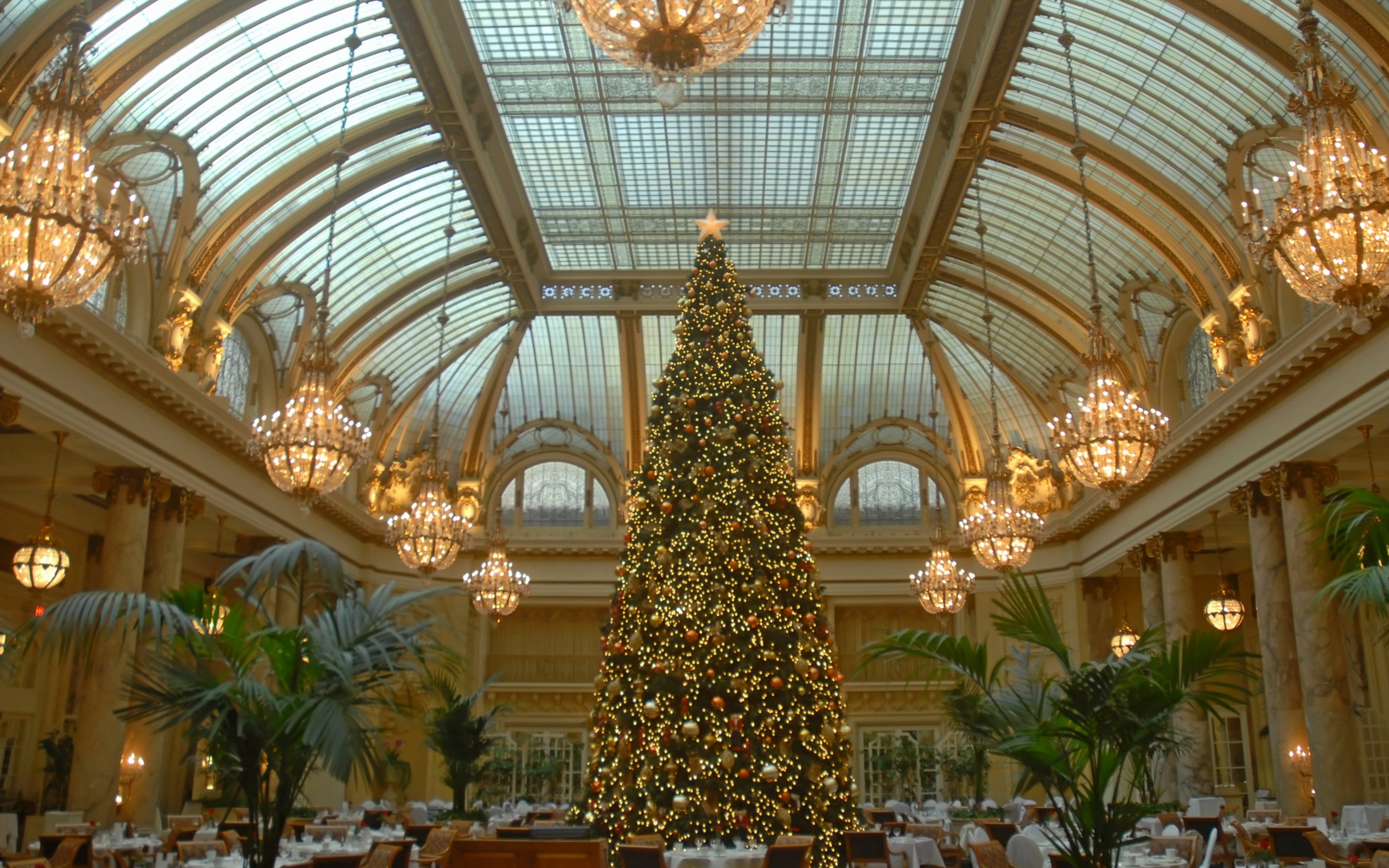 Handy-Wallpaper Sheraton Palace Hotel, Weihnachten, Weihnachtsbaum, Feiertage kostenlos herunterladen.