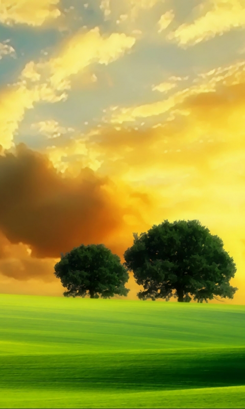 Download mobile wallpaper Landscape, Fantasy, Sunset, Tree, Field for free.