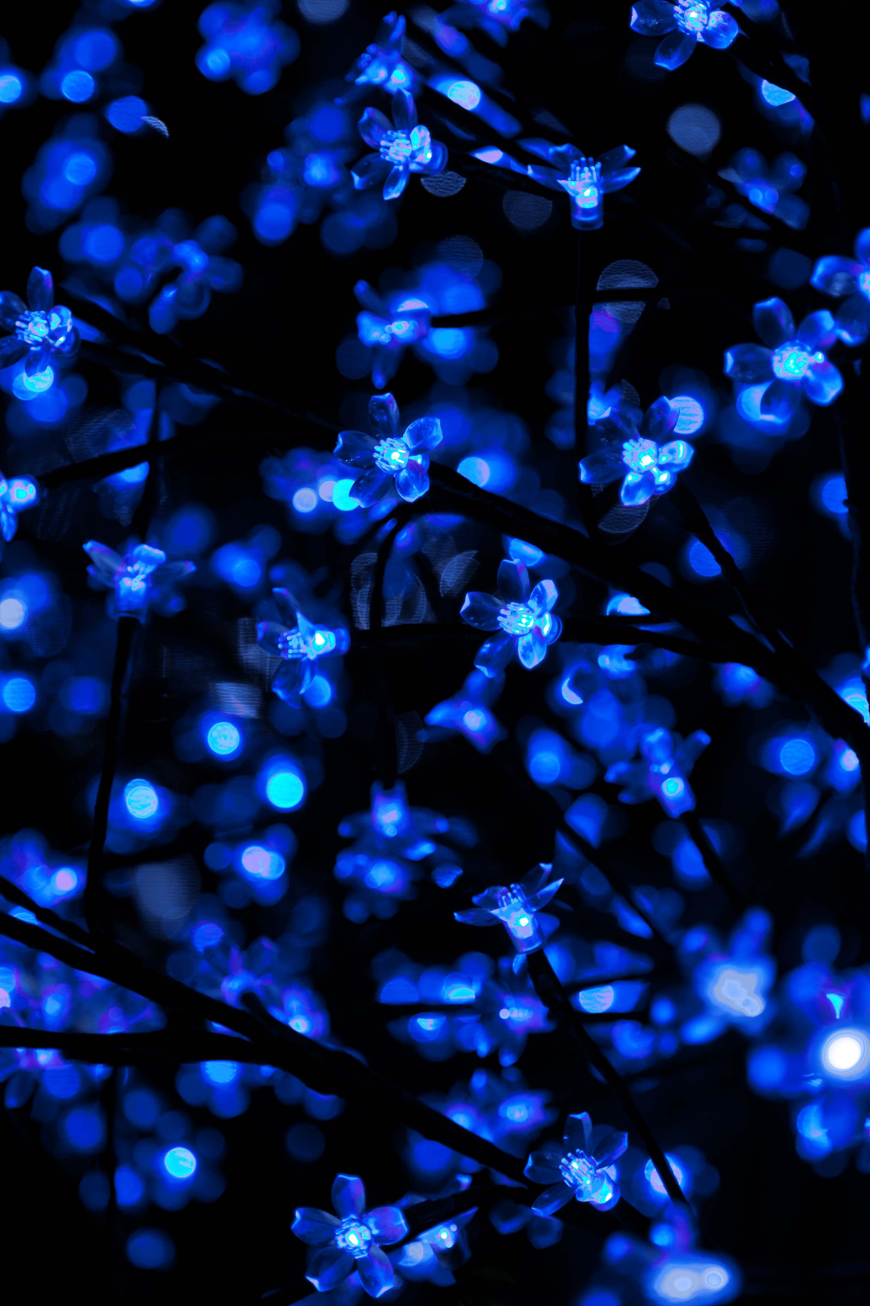 無料モバイル壁紙輝く, 青い, バックライト, 花冠, 花輪, 暗い, 光, 闇, ネオン, 照明をダウンロードします。
