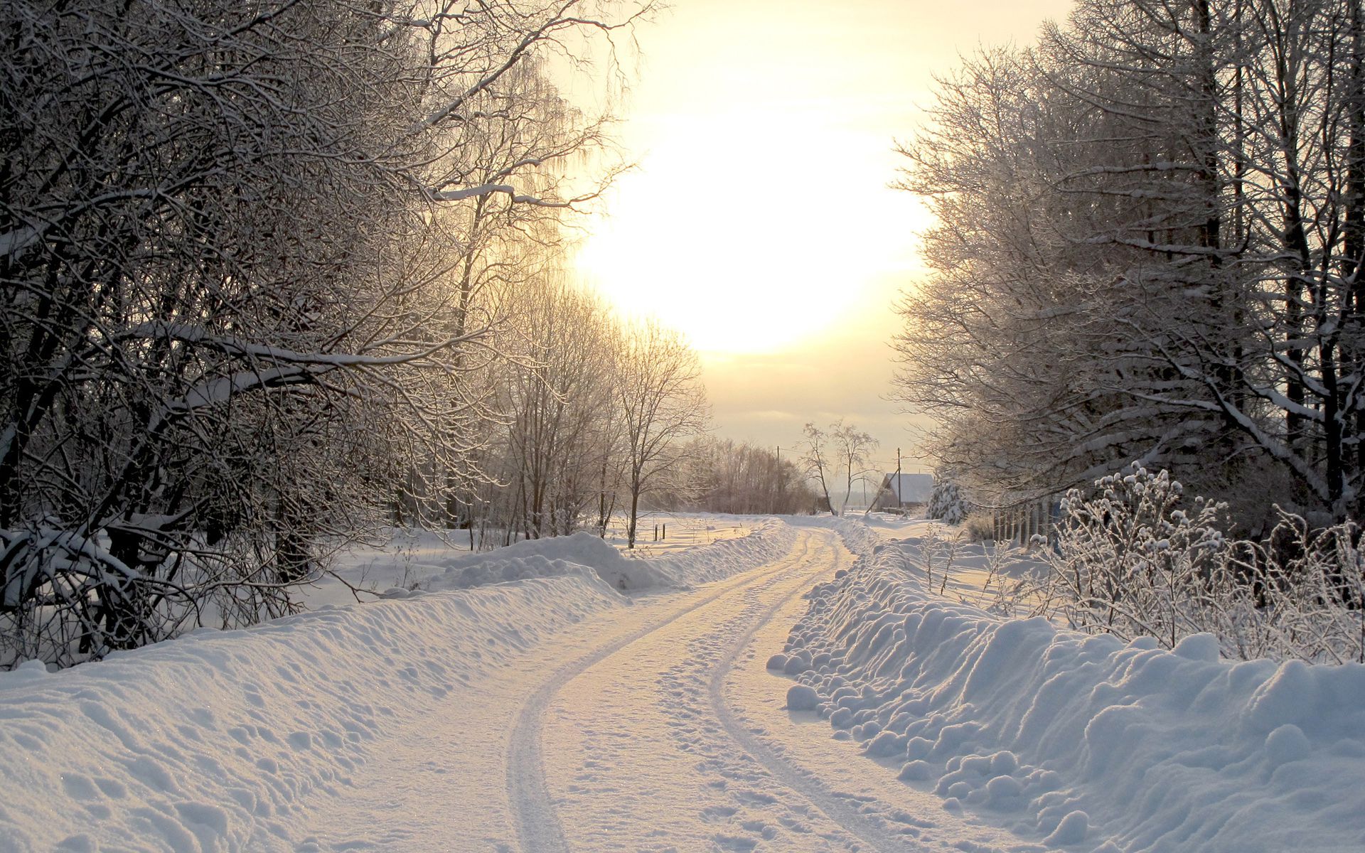 Download mobile wallpaper Winter, Snow, Road, Tree, House, Earth, Path for free.