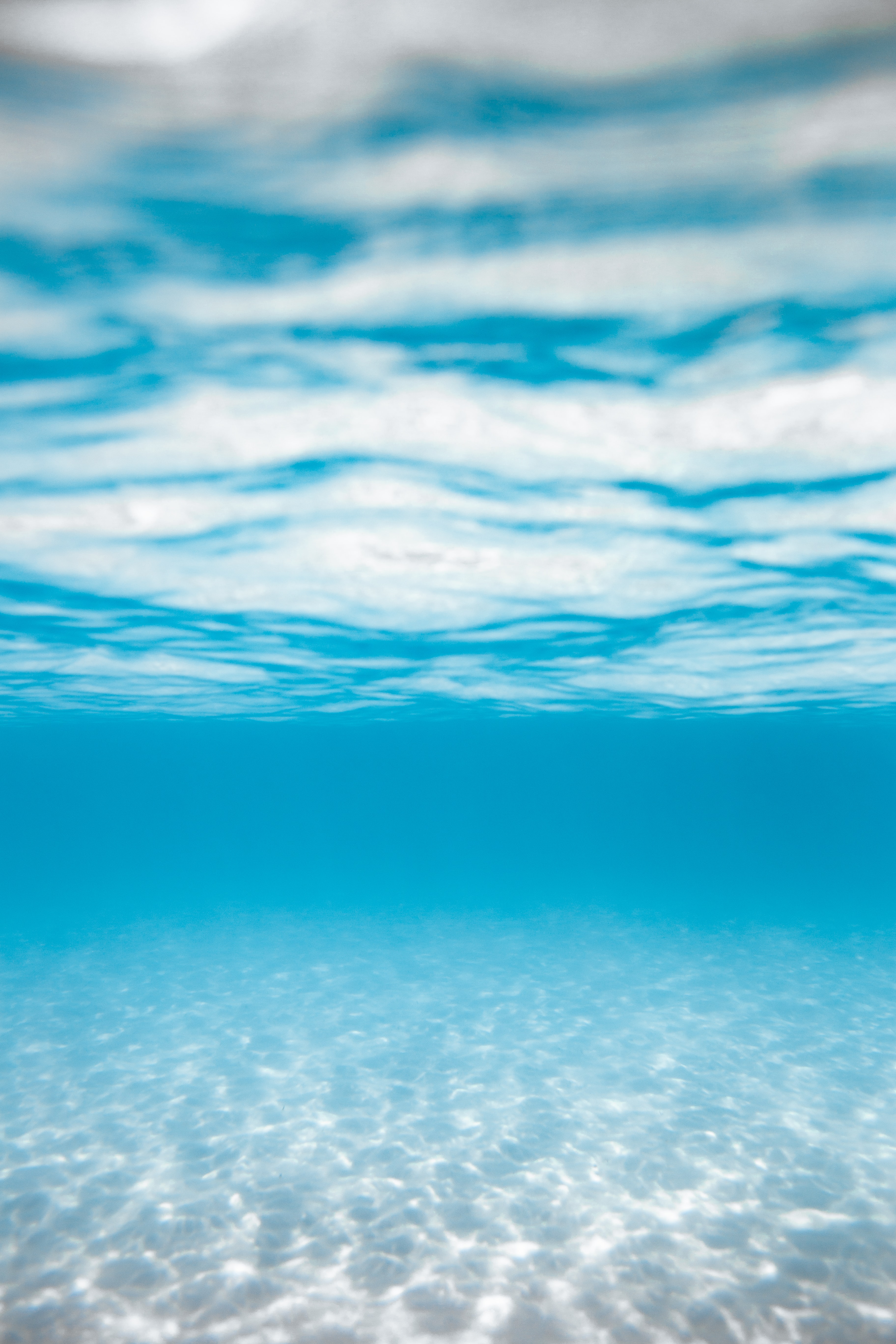 nature, underwater, water, blue, transparent, under water