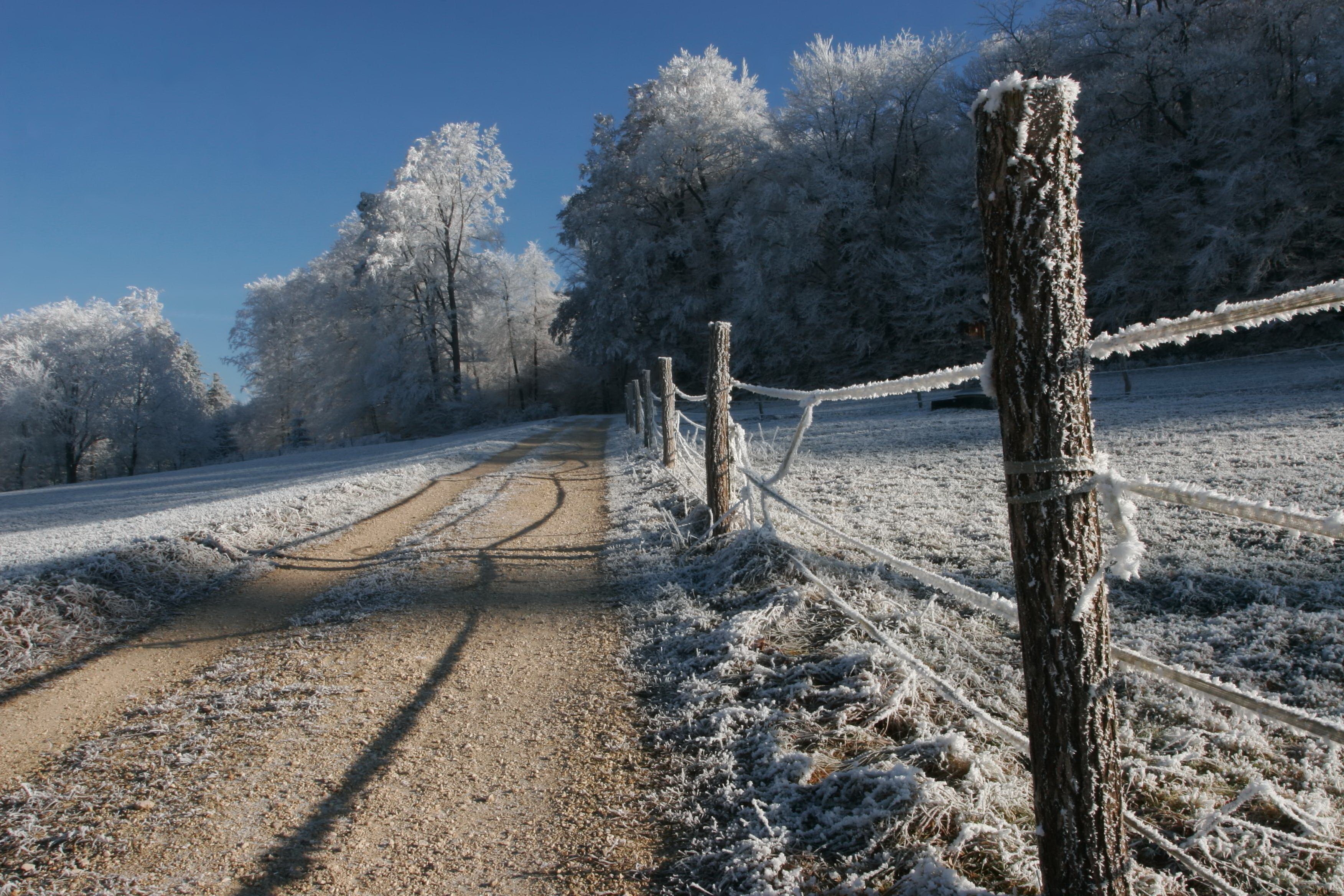 winter, nature, road, fence, frost, hoarfrost, gray hair, cold, country, hedge, stakes, pegging, countryside