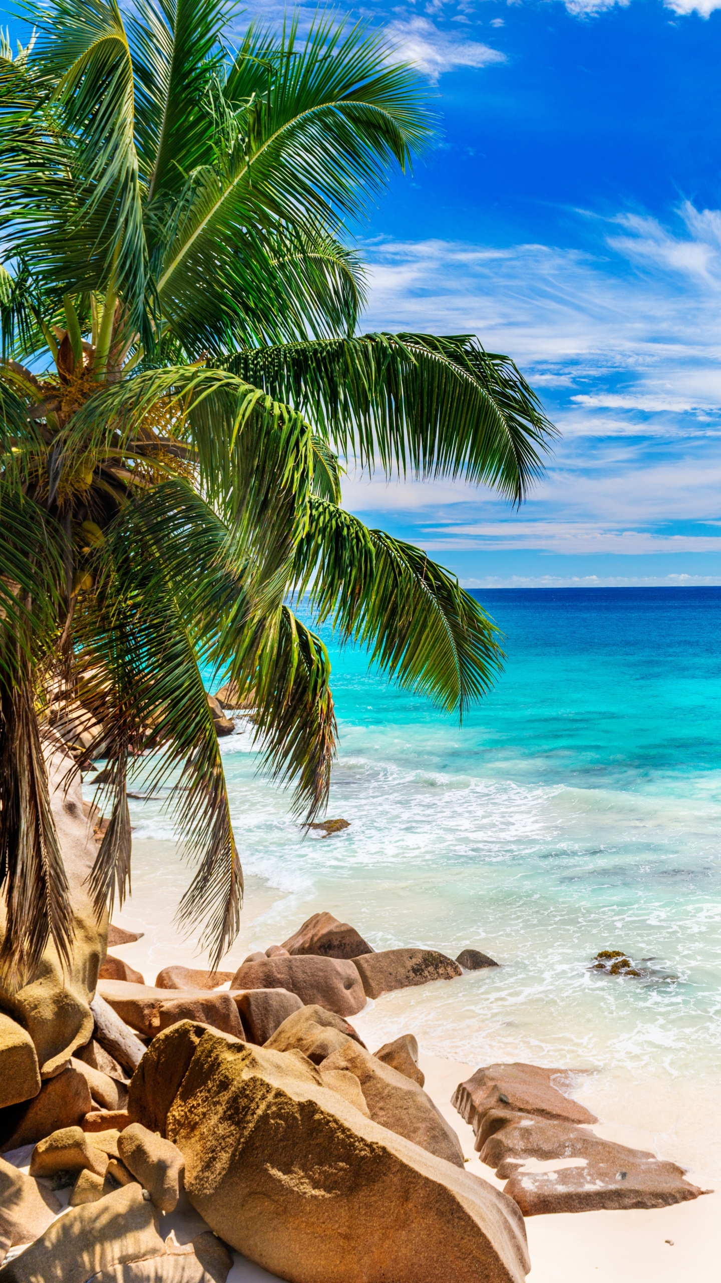 Скачати мобільні шпалери Горизонт, Океан, Синій, Пальма, Земля, Тропічний, Сейшельські Острови, Пляжний безкоштовно.