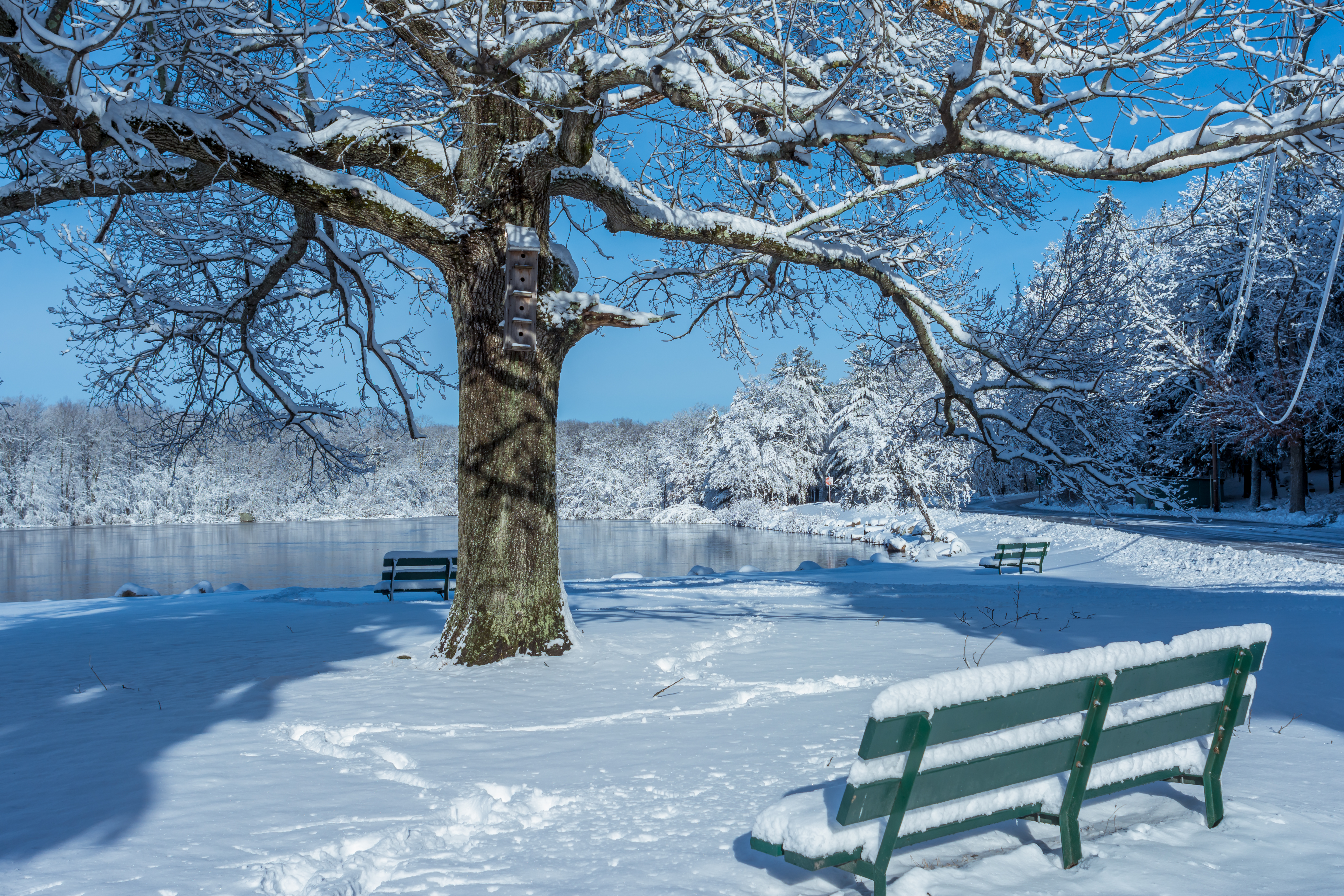 Скачать обои бесплатно Зима, Снег, Парк, Дерево, Земля, Скамейка, Пруд, Фотографии картинка на рабочий стол ПК