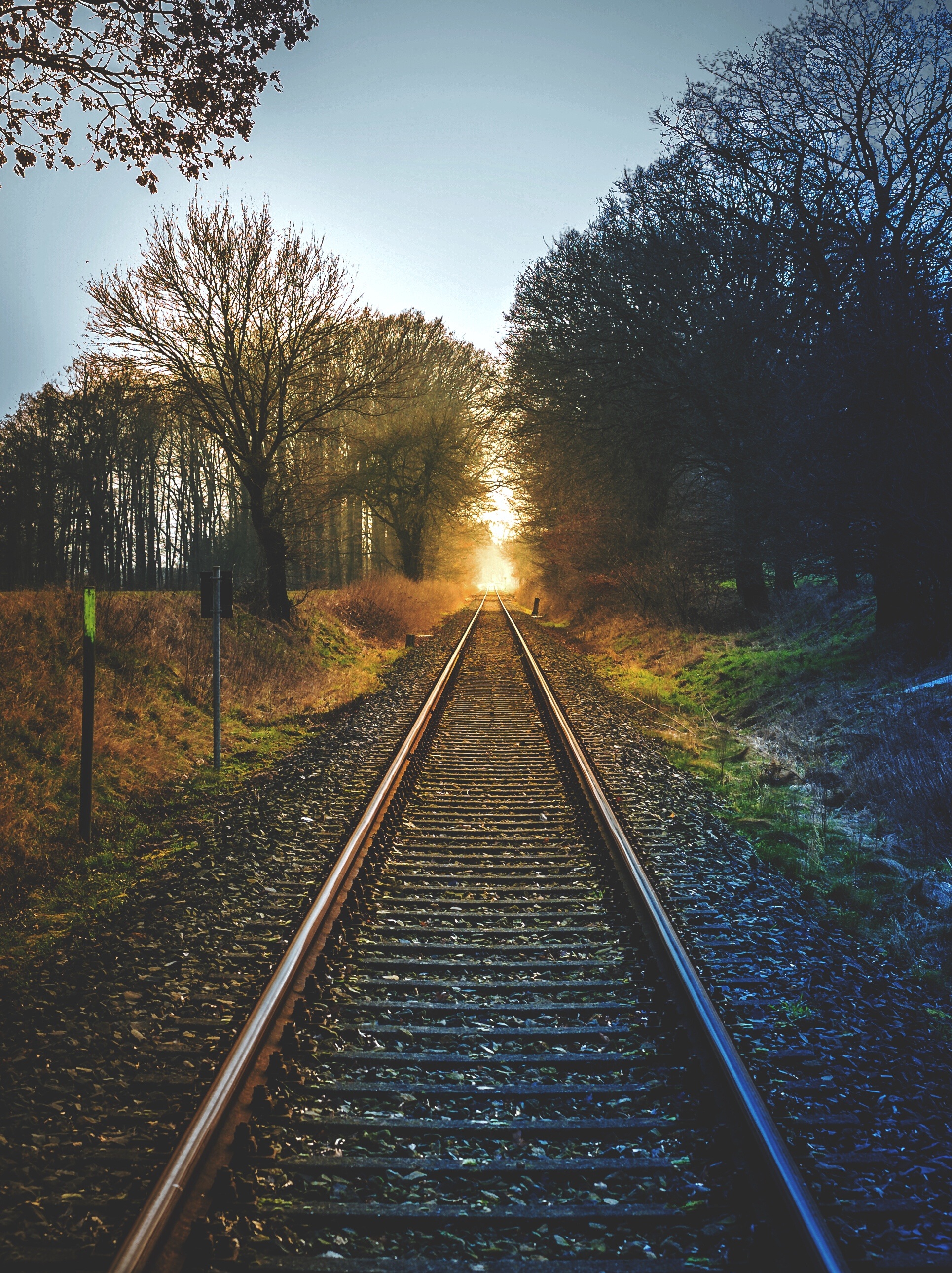 sunset, railway, nature, trees High Definition image