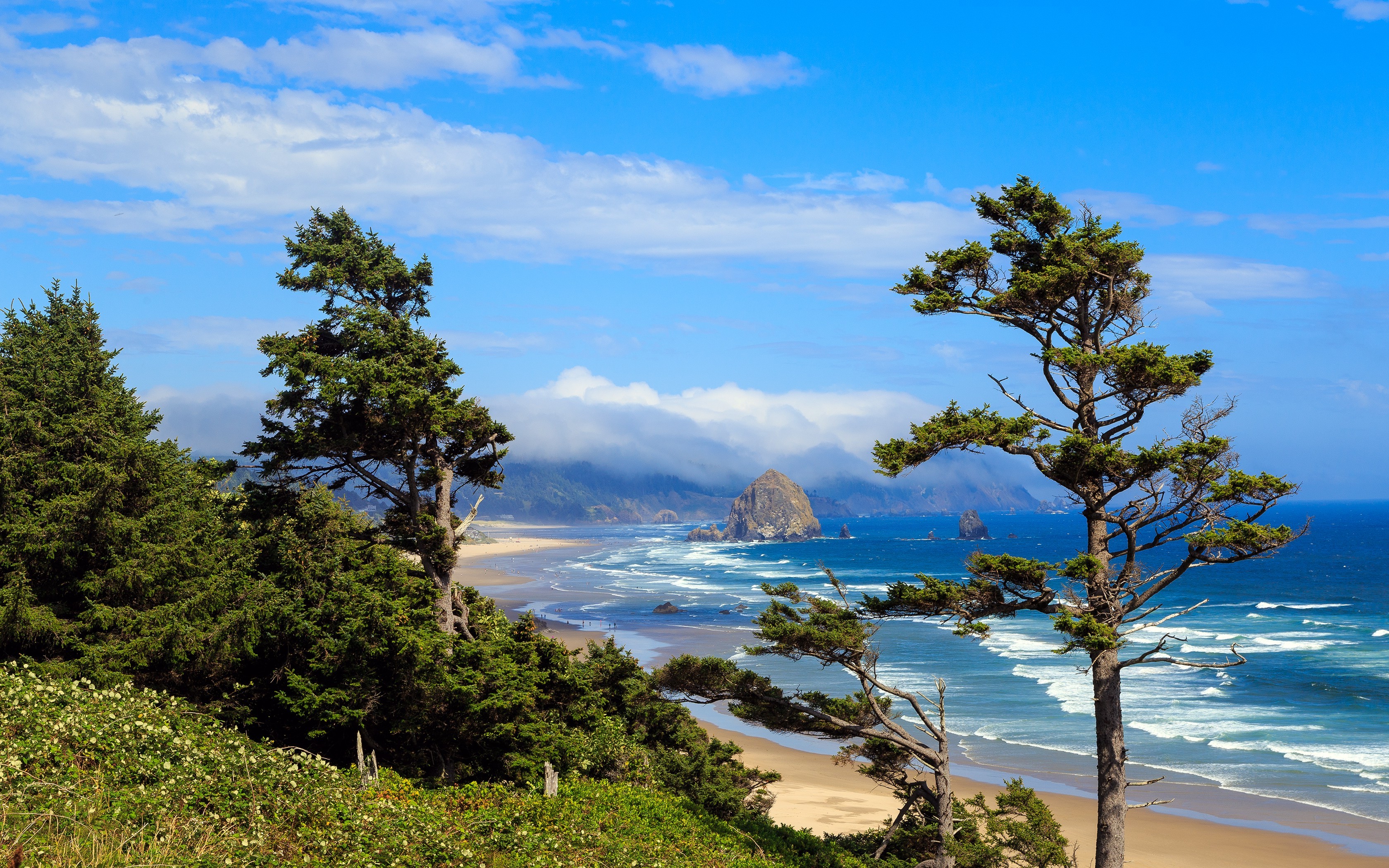 Laden Sie das Strand, Küste, Baum, Ozean, Erde/natur-Bild kostenlos auf Ihren PC-Desktop herunter
