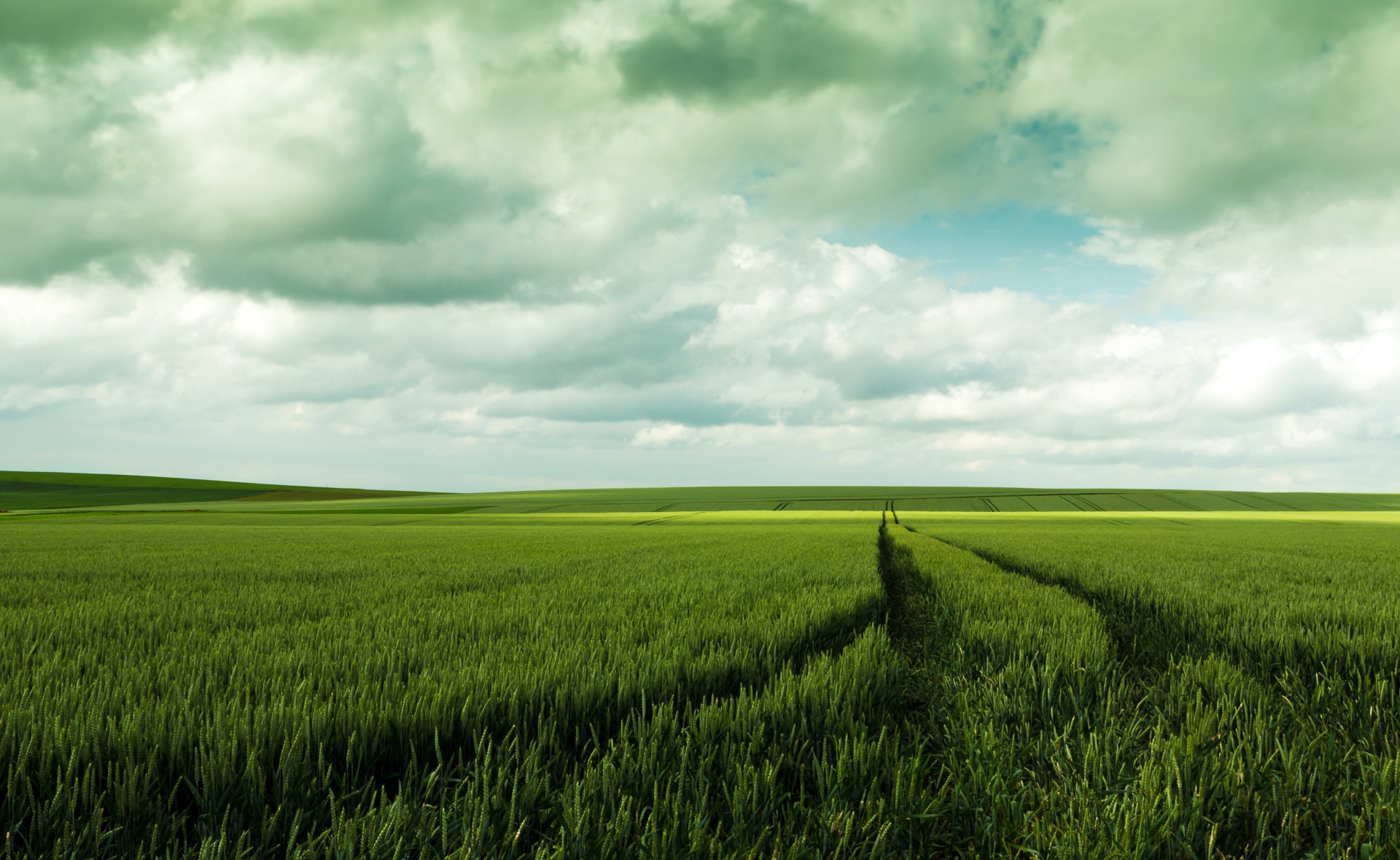 Download mobile wallpaper Nature, Summer, Horizon, Earth, Field, Cloud for free.