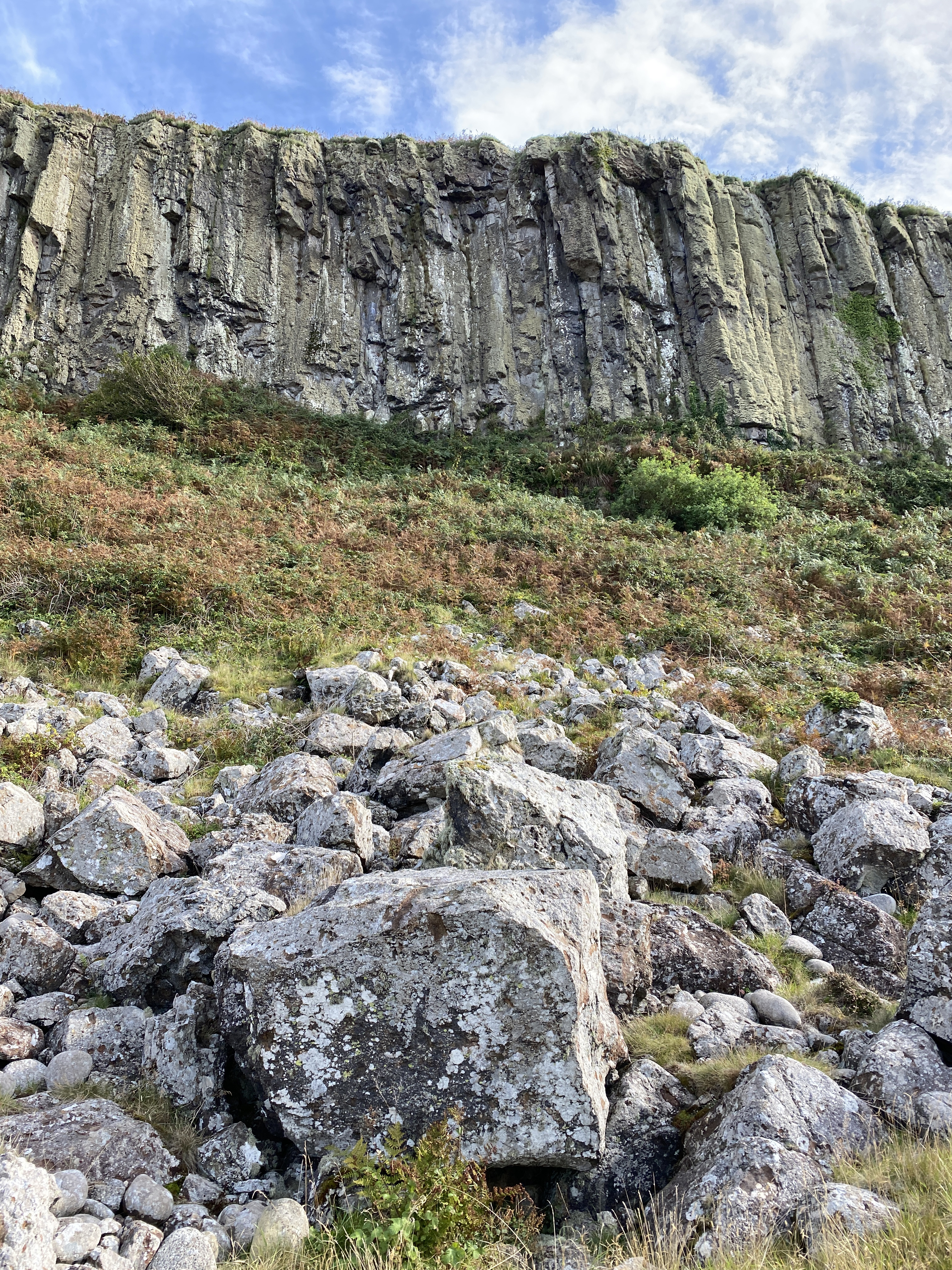 cliff, nature, stones, bush, rock Smartphone Background