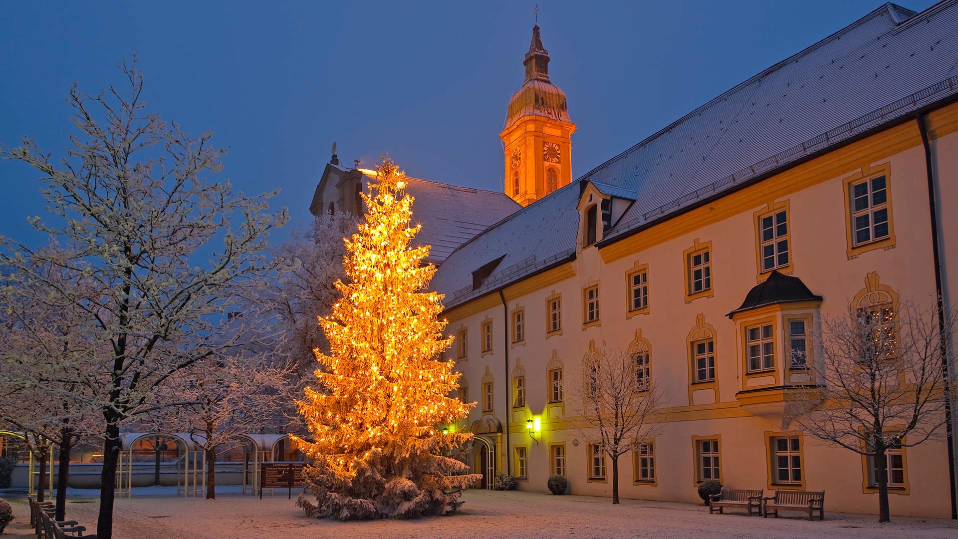 Laden Sie das Feiertage, Winter, Schnee, Weihnachten, Gebäude, Licht, Weihnachtsbaum-Bild kostenlos auf Ihren PC-Desktop herunter