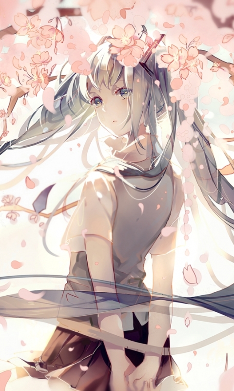 Download mobile wallpaper Anime, Vocaloid, Blue Eyes, Hatsune Miku, Long Hair, Pink Flower, Grey Hair, Cherry Tree for free.