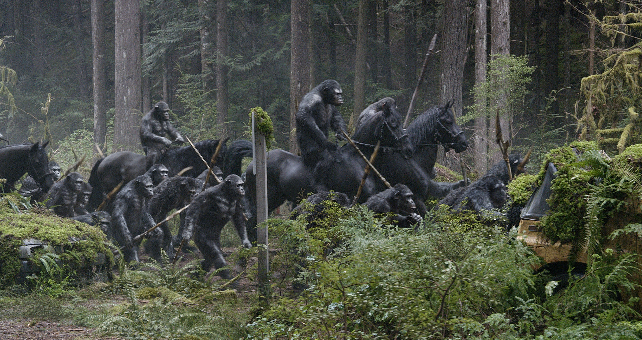 movie, dawn of the planet of the apes