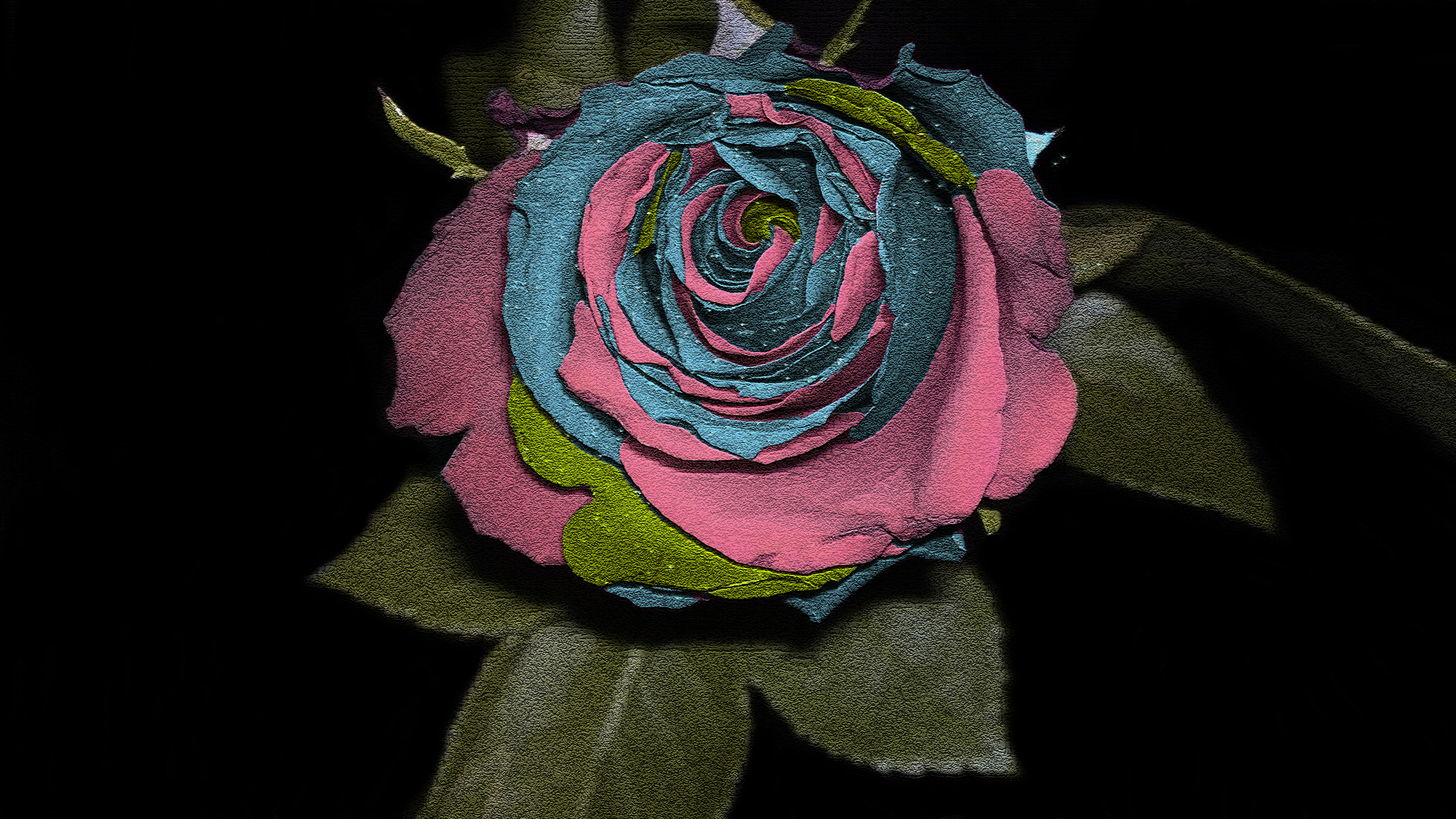 無料モバイル壁紙ピンク, フラワーズ, 青い, 葉, 色, 写真撮影, 花, 薔薇, 地球, 暗いをダウンロードします。