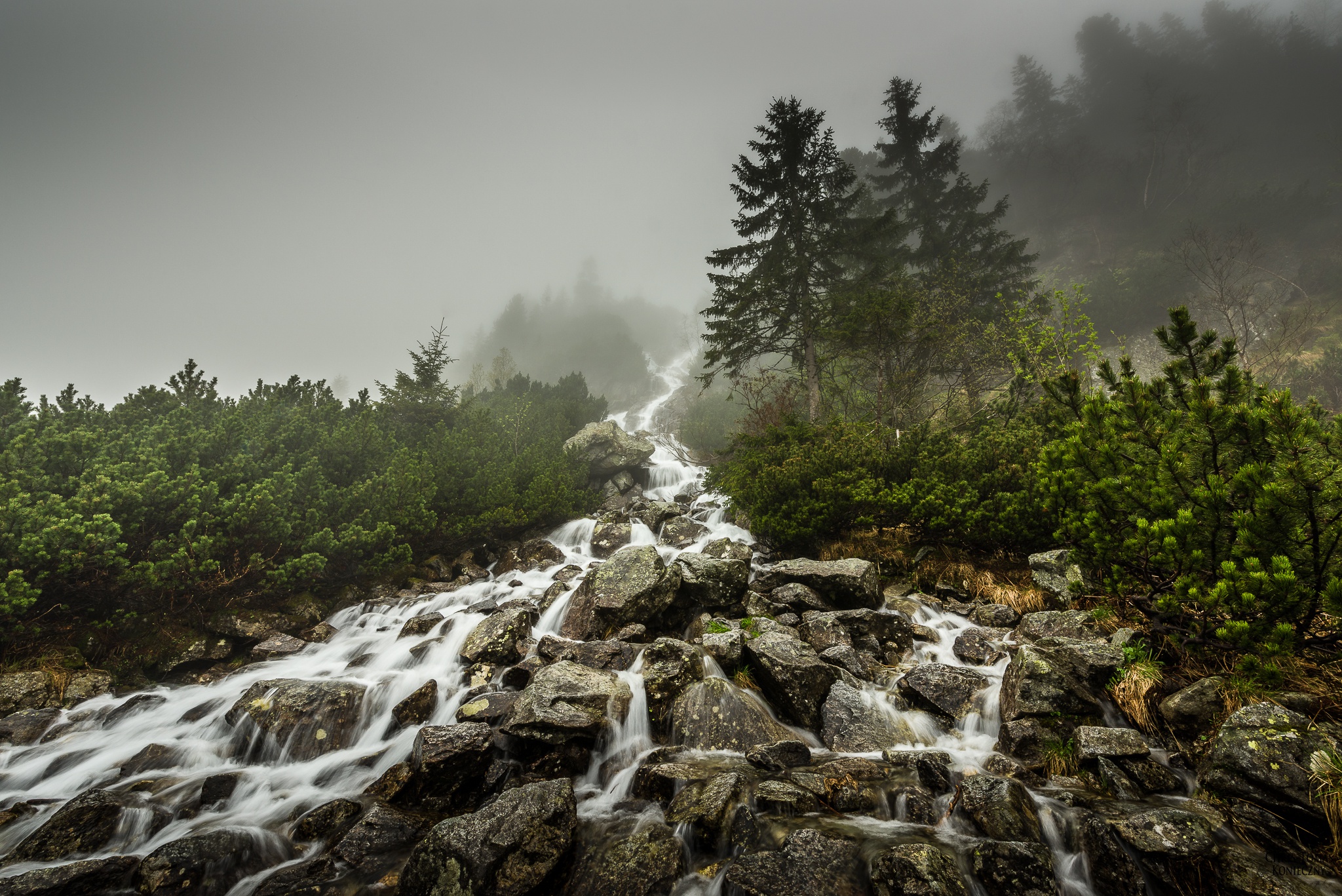 Descarga gratis la imagen Naturaleza, Niebla, Chorro, Tierra/naturaleza en el escritorio de tu PC