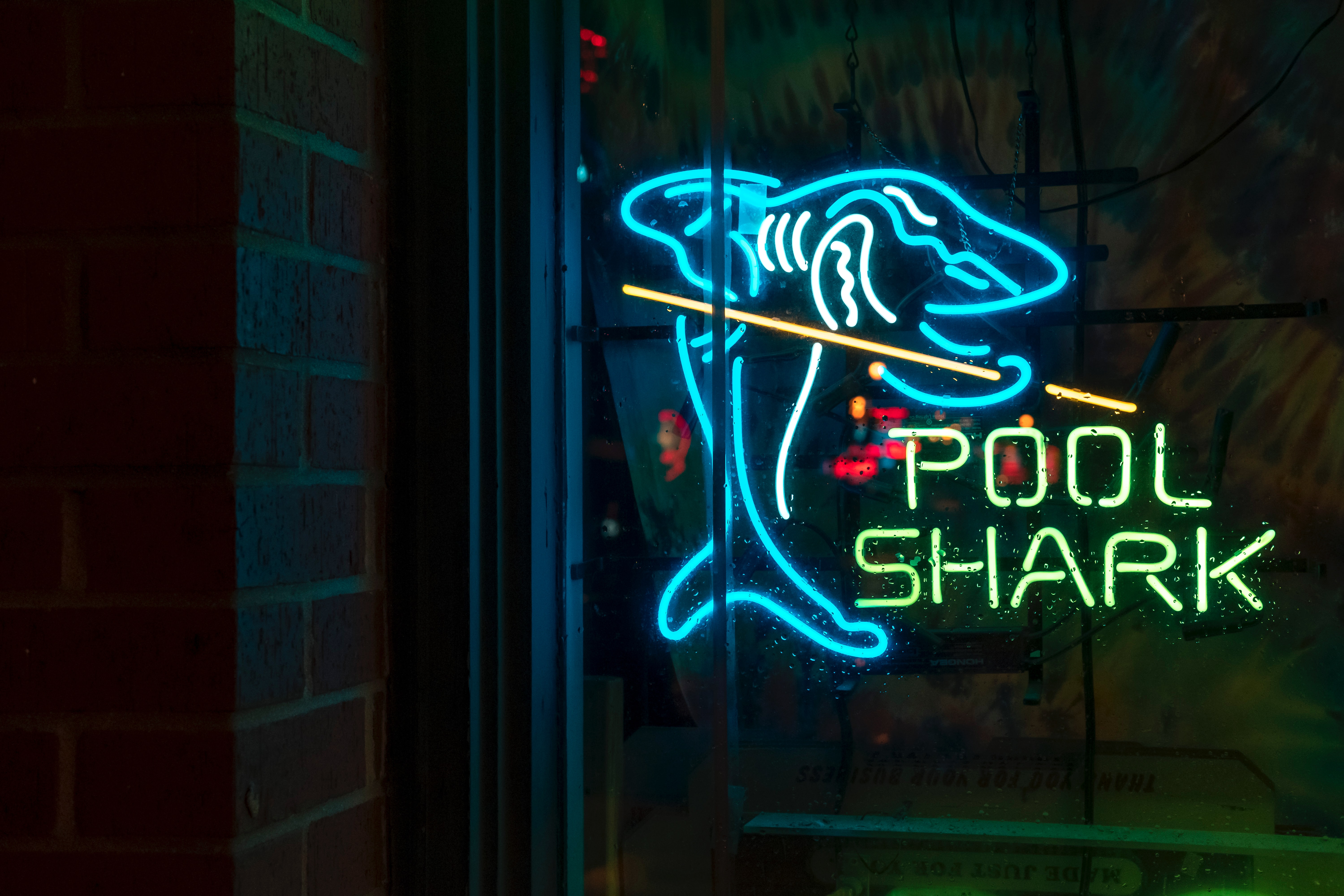 android shark, neon, words, inscription